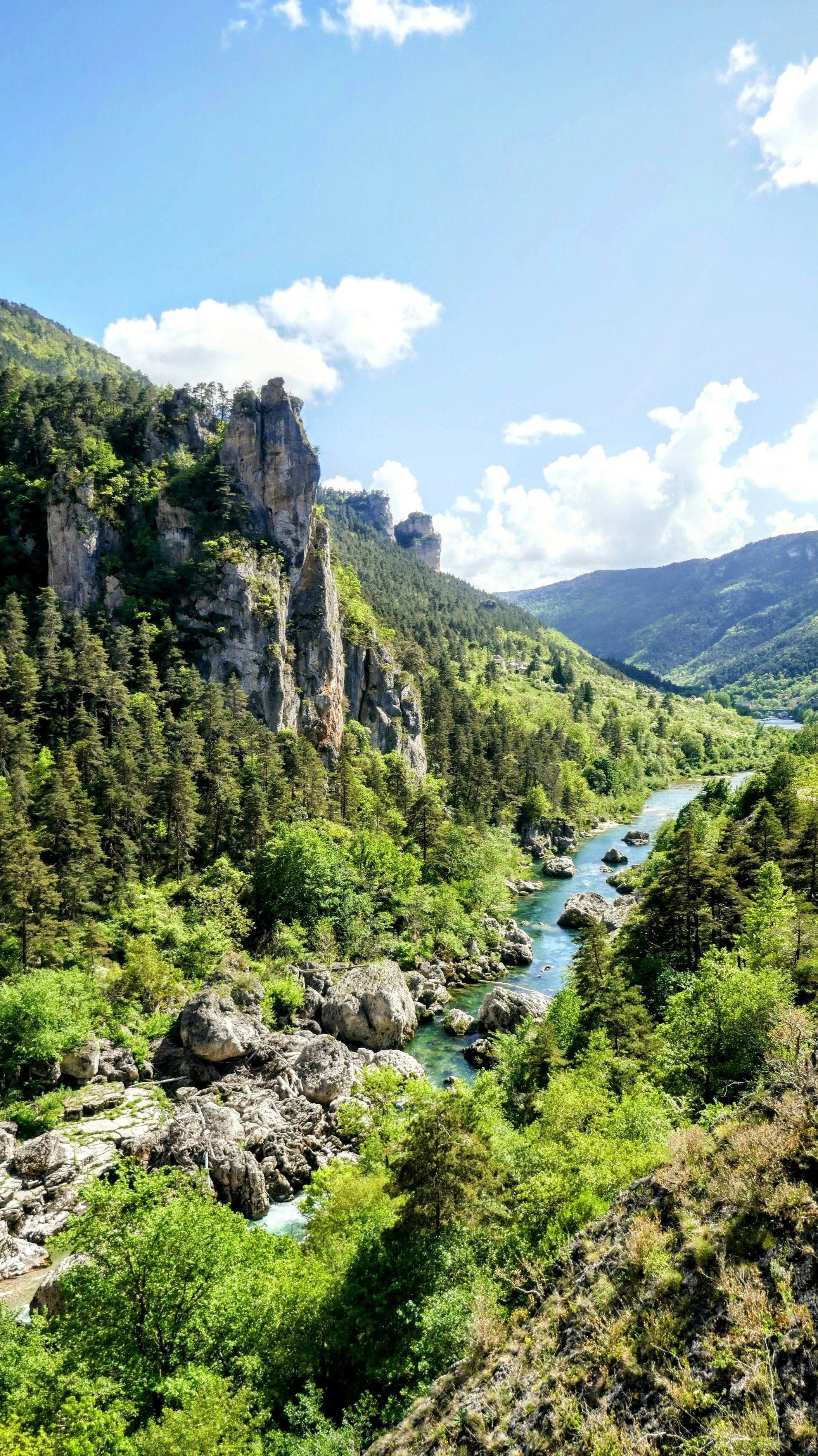 Tarn coulant dans les Grandes Causses. Une rivière passe au milieu des mntagnes et arbres verdoyants.