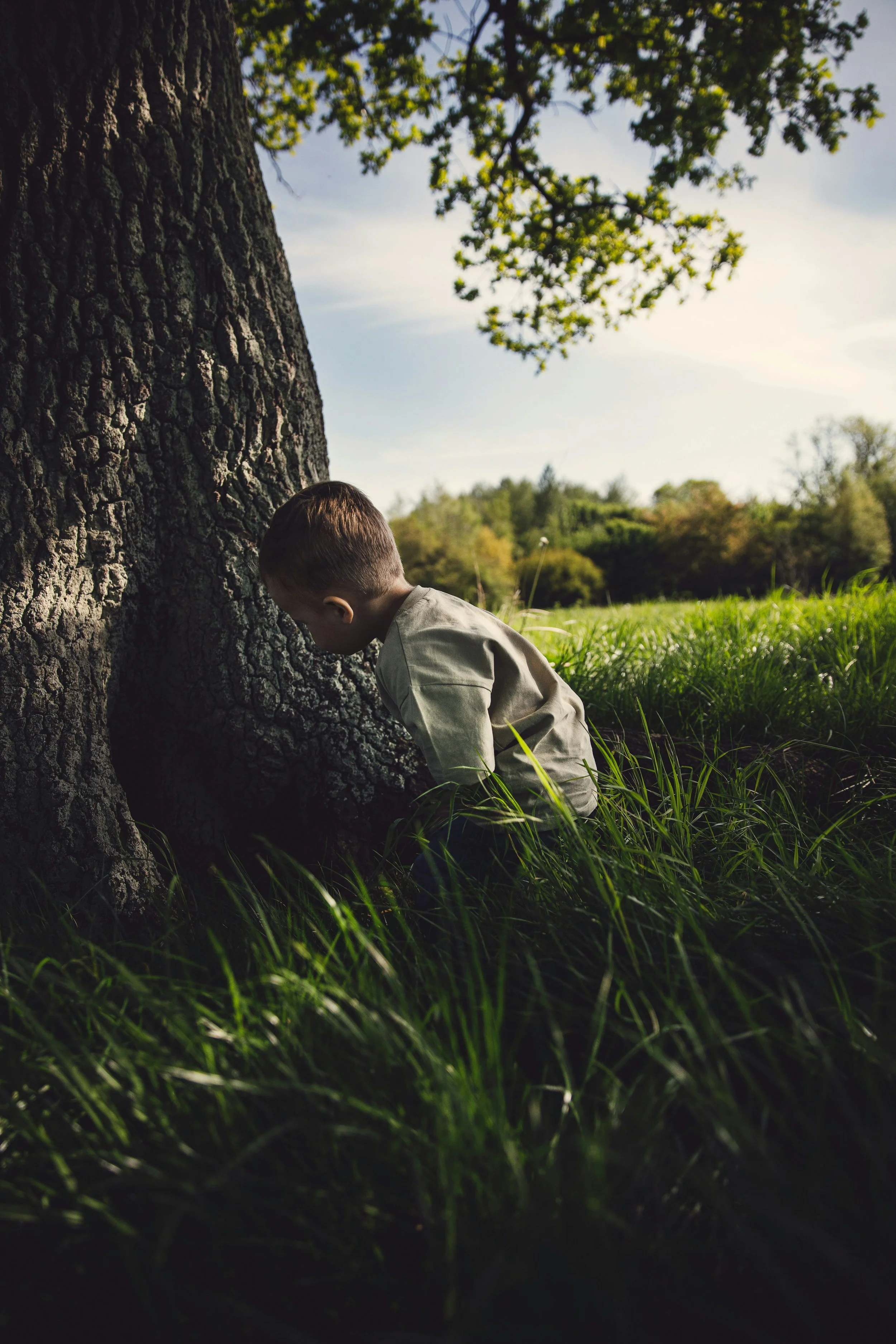 Un enfant curieux se penche vers le creux d'un arbre en automne, pour observer ce qu'il y a dans l'arbre. C'est le printemps et on voit quelques branches et le tronc de l'arbre. L'enfnat d'environ 5 ans porte un t-shirt beige.