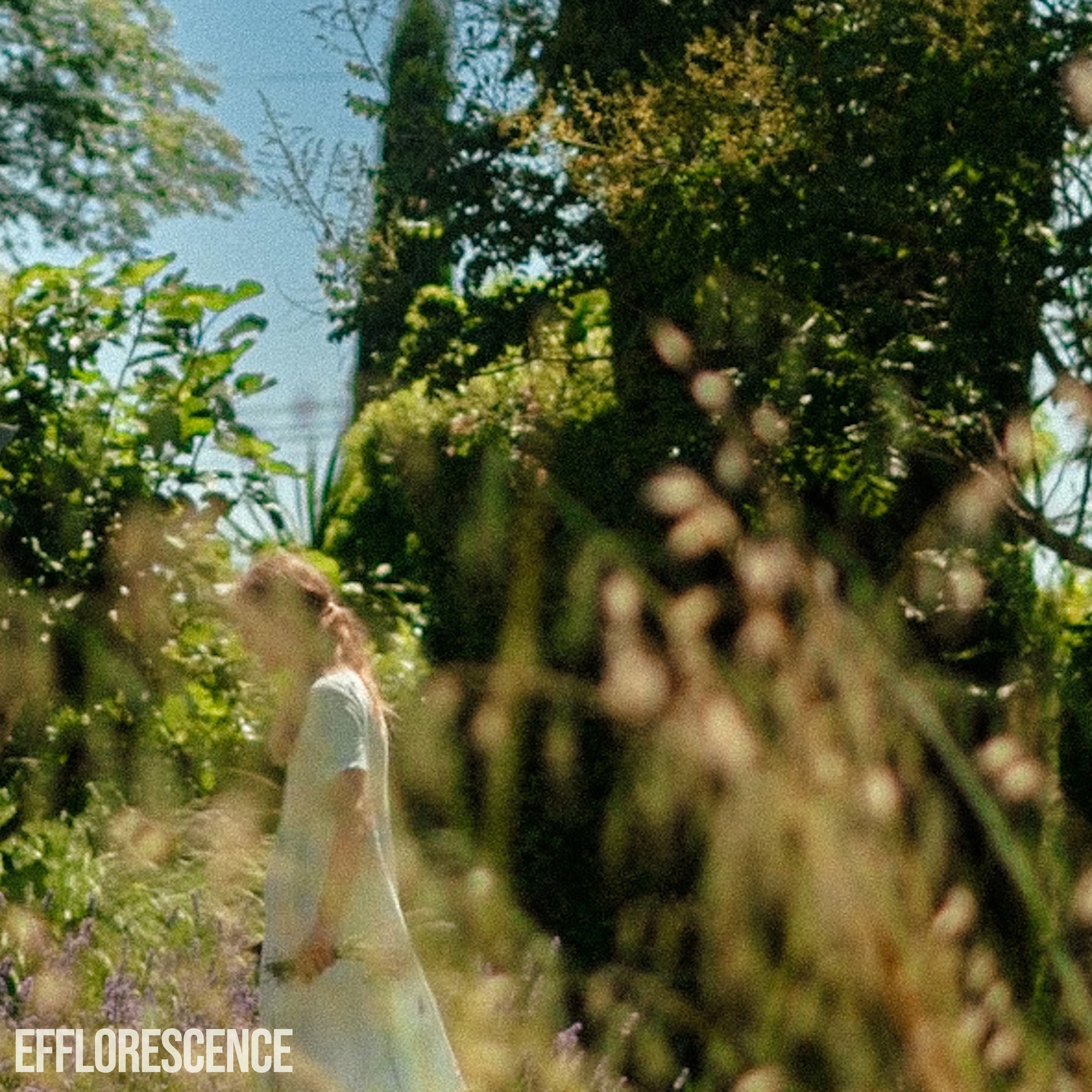 efflorescence-artwork.jpg