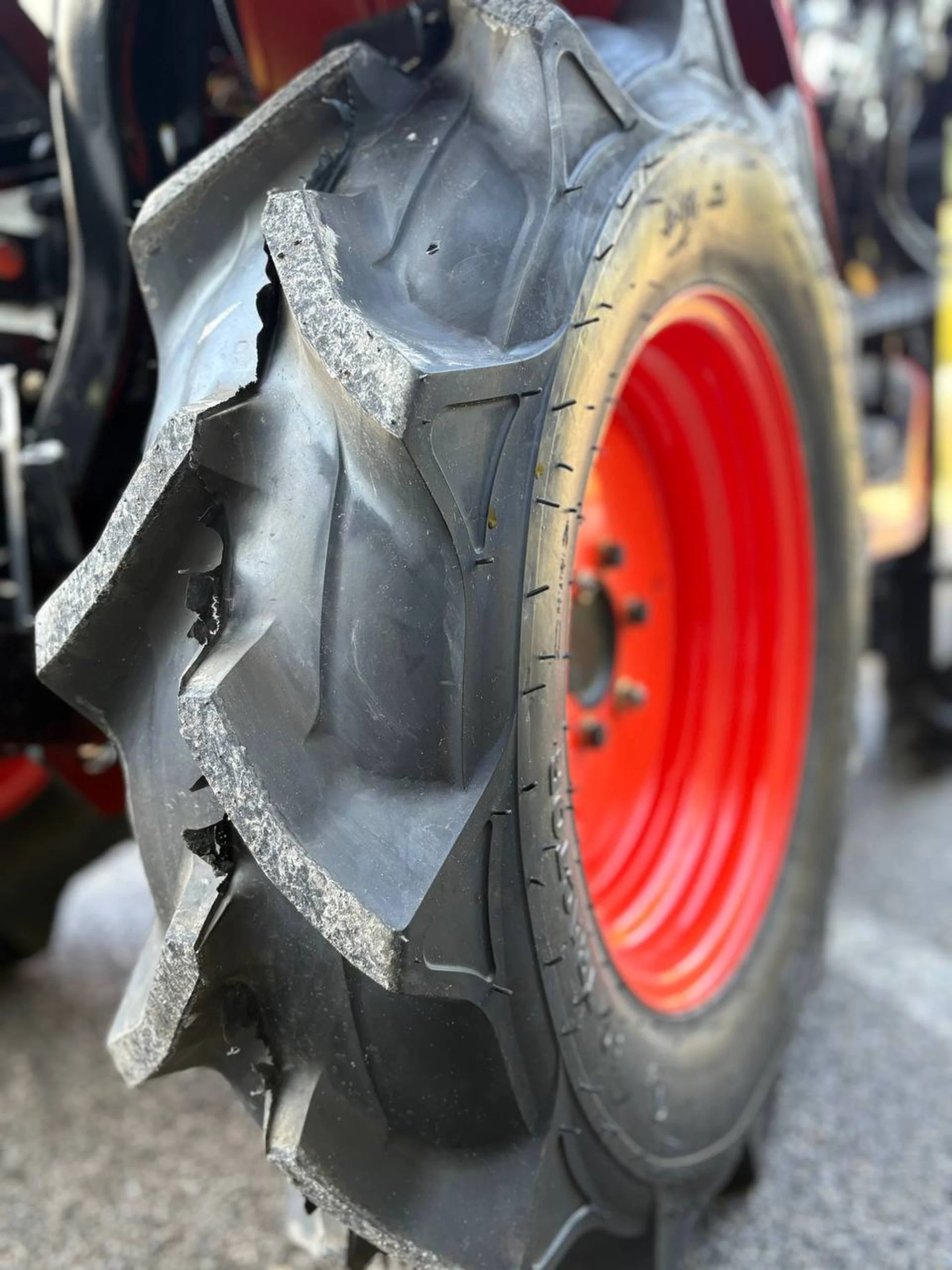 1765874542000 (3).jpg