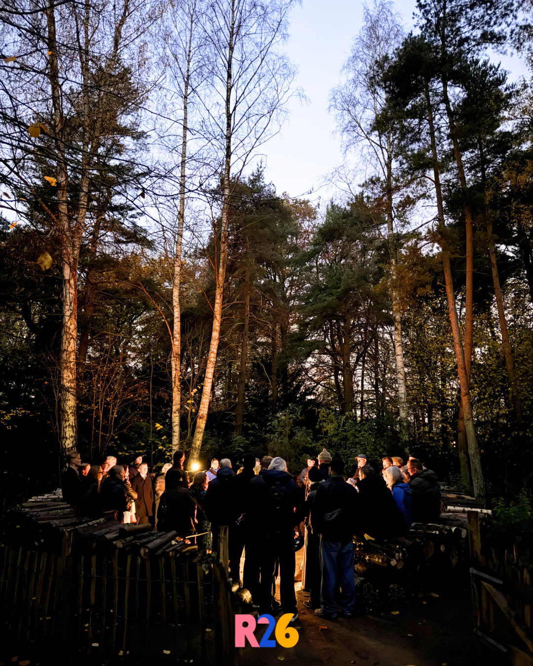 Teambuilding i skoven ved aftenstid skaber nærvær, samarbejde og stærke relationer i naturens ro. Kollegaer samles omkring lyset i det fri – en autentisk oplevelse i hjertet af Danmark.