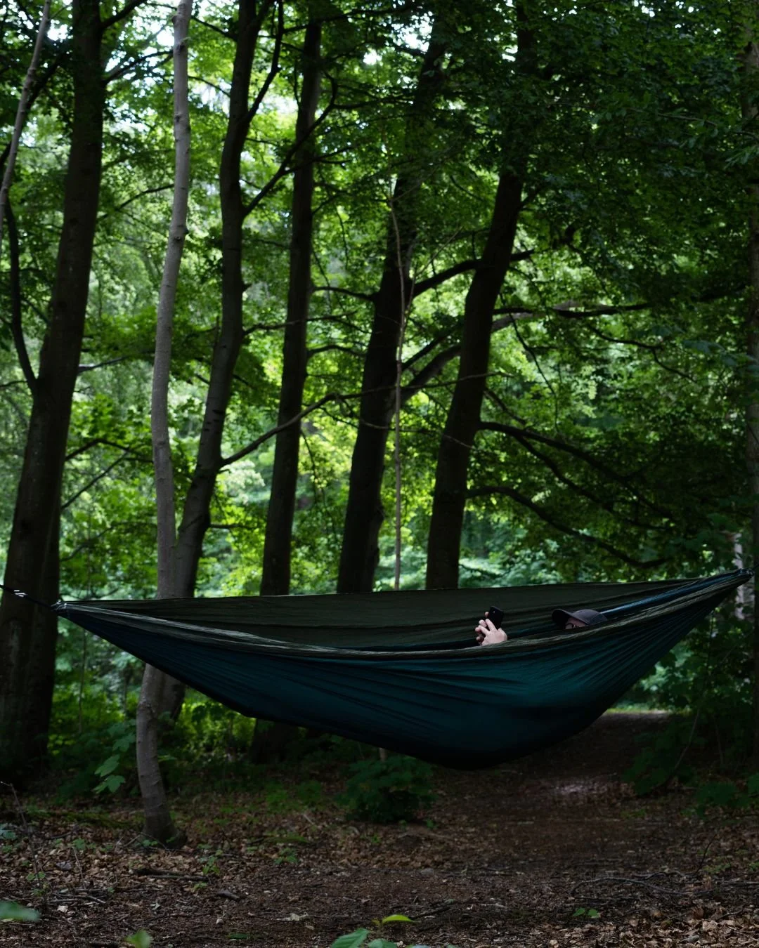 En person ligger i en hængekøje strækket mellem træer i en skov, omgivet af grønne blade og træstammer.