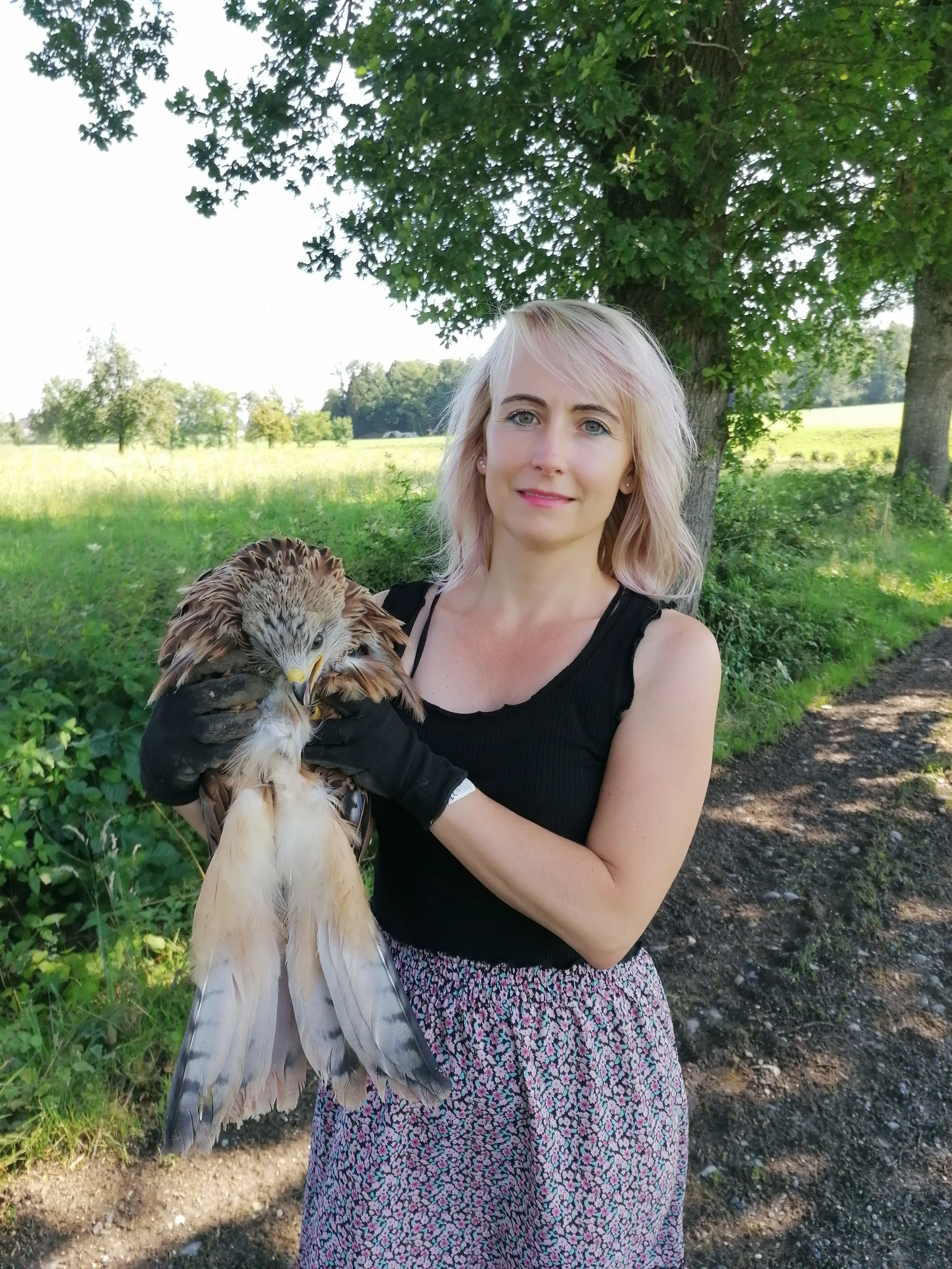 Freilassung genesener Milan
