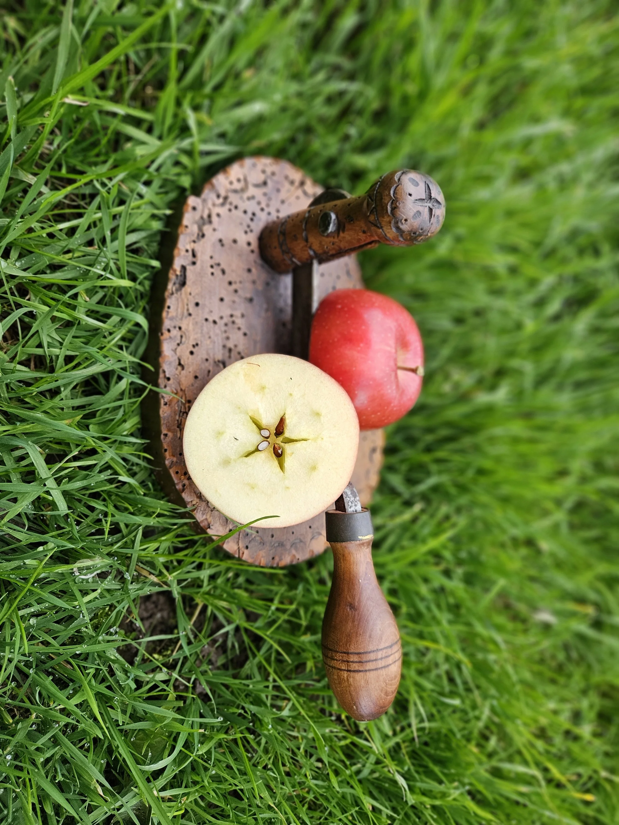 Kräutermesser mit quer geschnittenem Apfel, fünfzackiger Stern, Pentagramm, keltischer Schamanismus Luzern