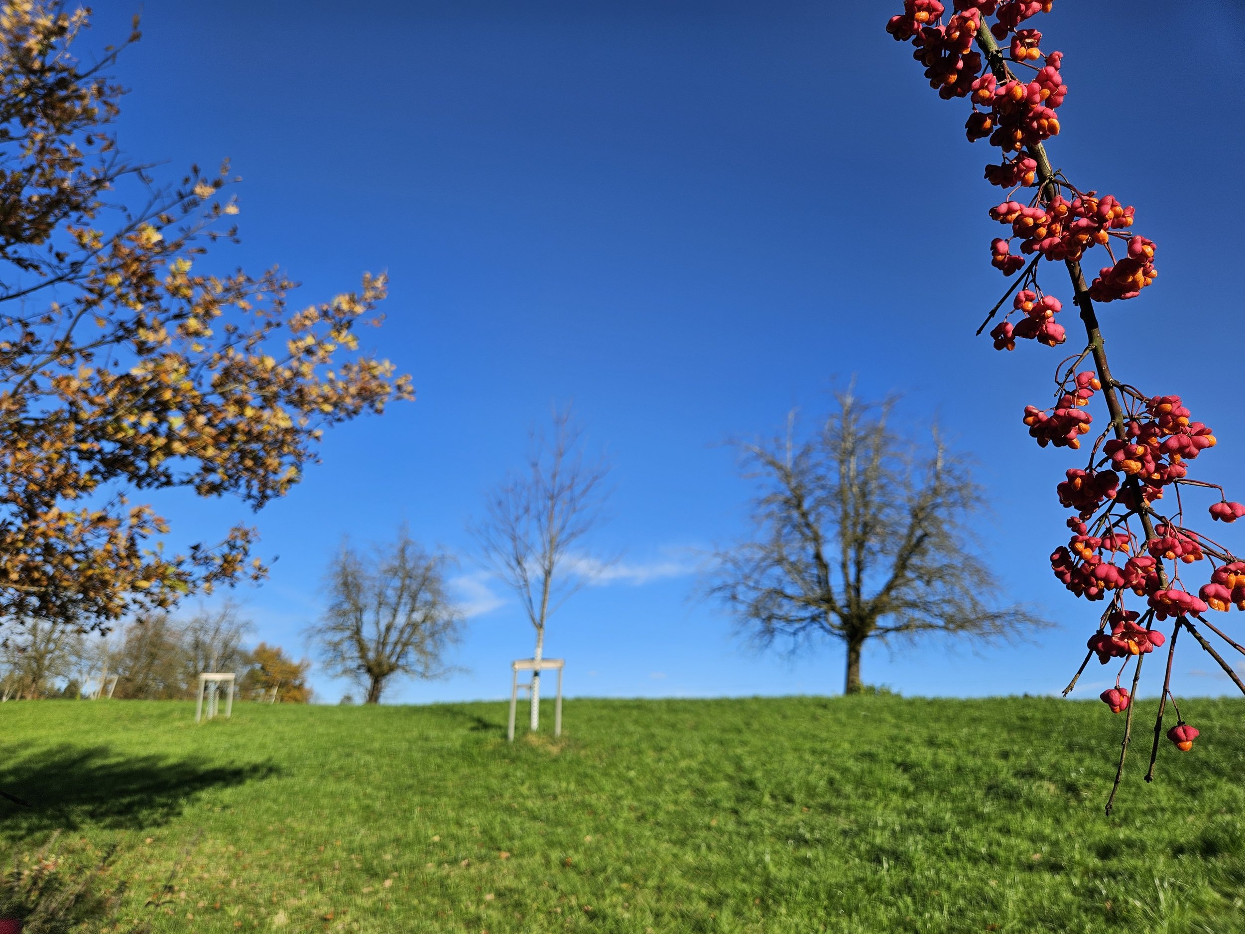 ländliche Landschaft in Inwil, der Wirkungsstätte von 