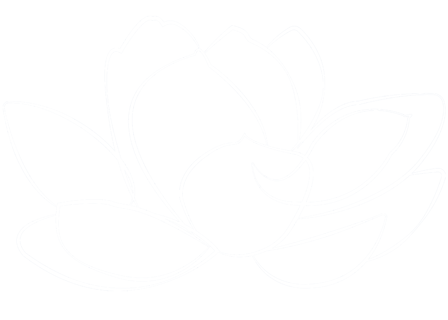 WILD LOTUS SKINCARE