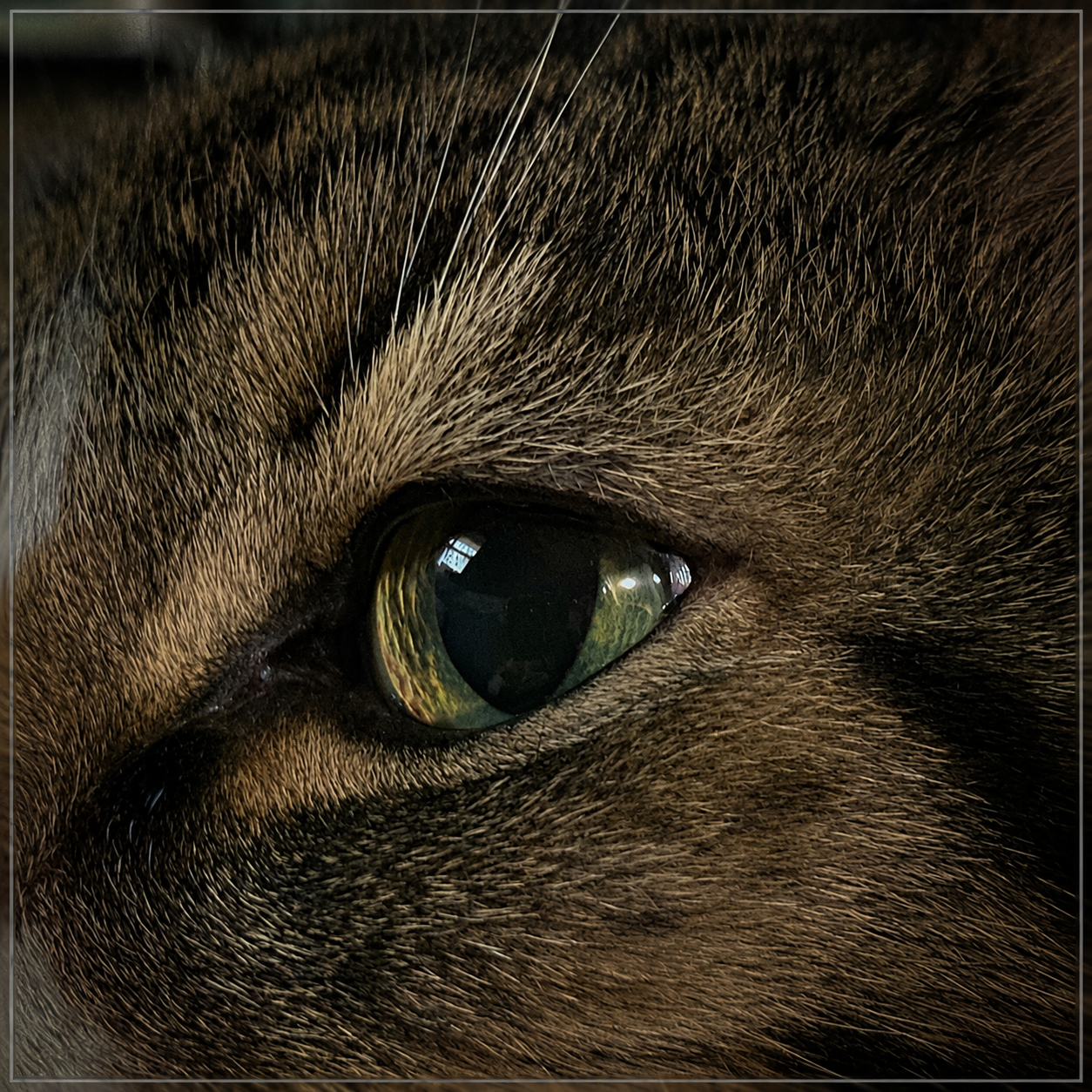 382CE952-5115-465F-A3E8-F8DF692D20CD.PNG