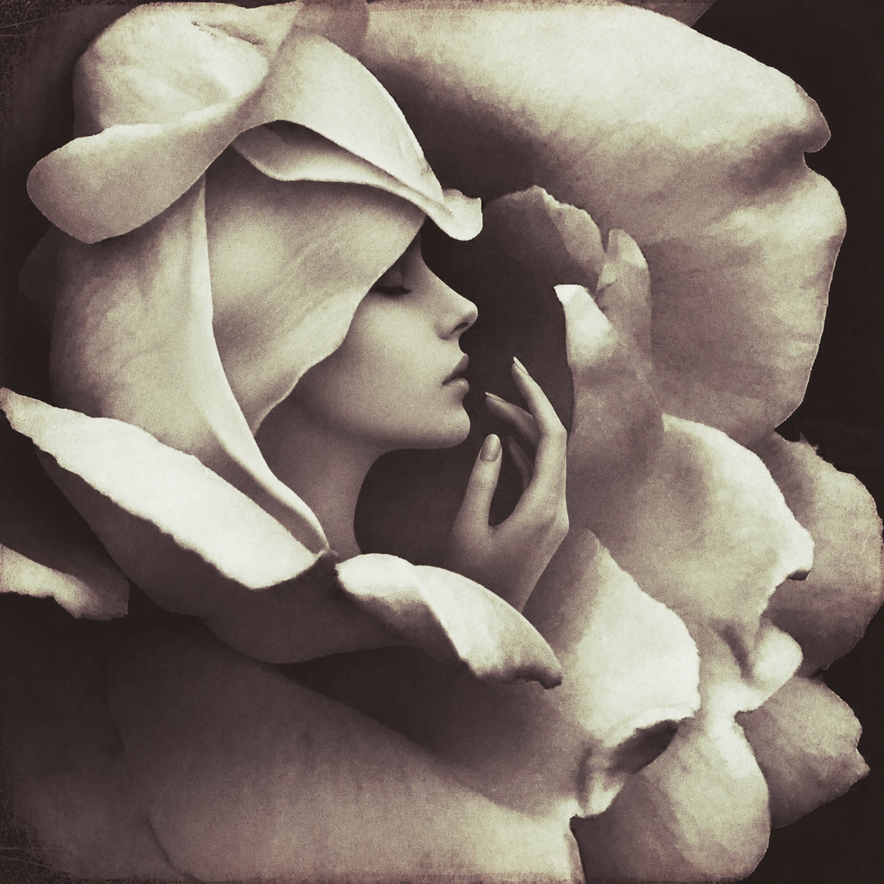 E16BA198-FB01-4A6D-8764-2627AFE7745E.PNG