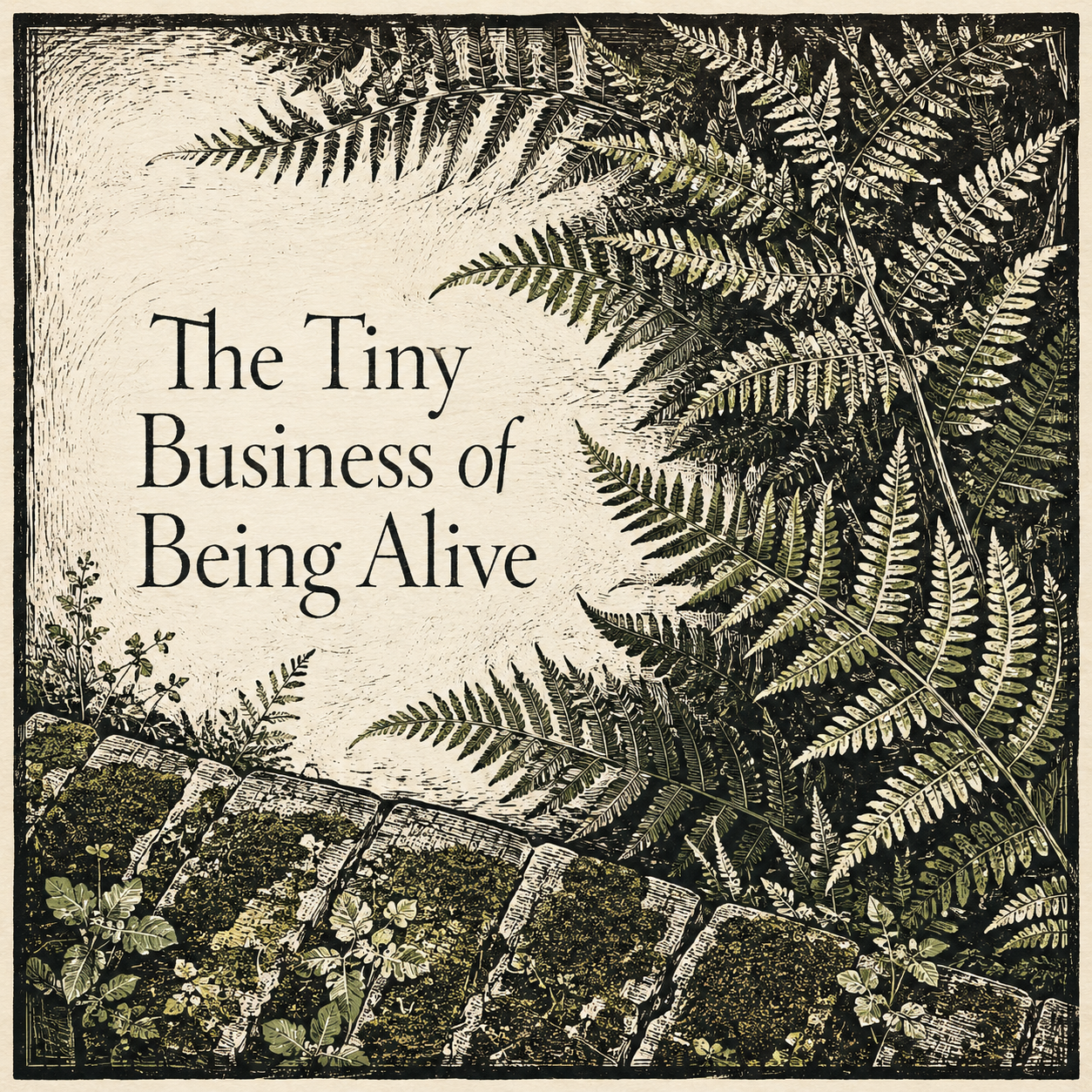 63D623FE-3791-4333-BD8A-4CEEB5B46591.PNG