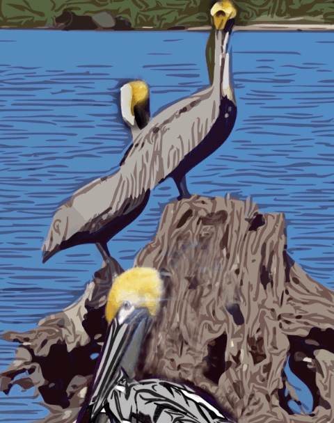 64DFFDC4-42C3-403F-898D-E80FE9137889-12858-0000067F3ED5111B.GIF
