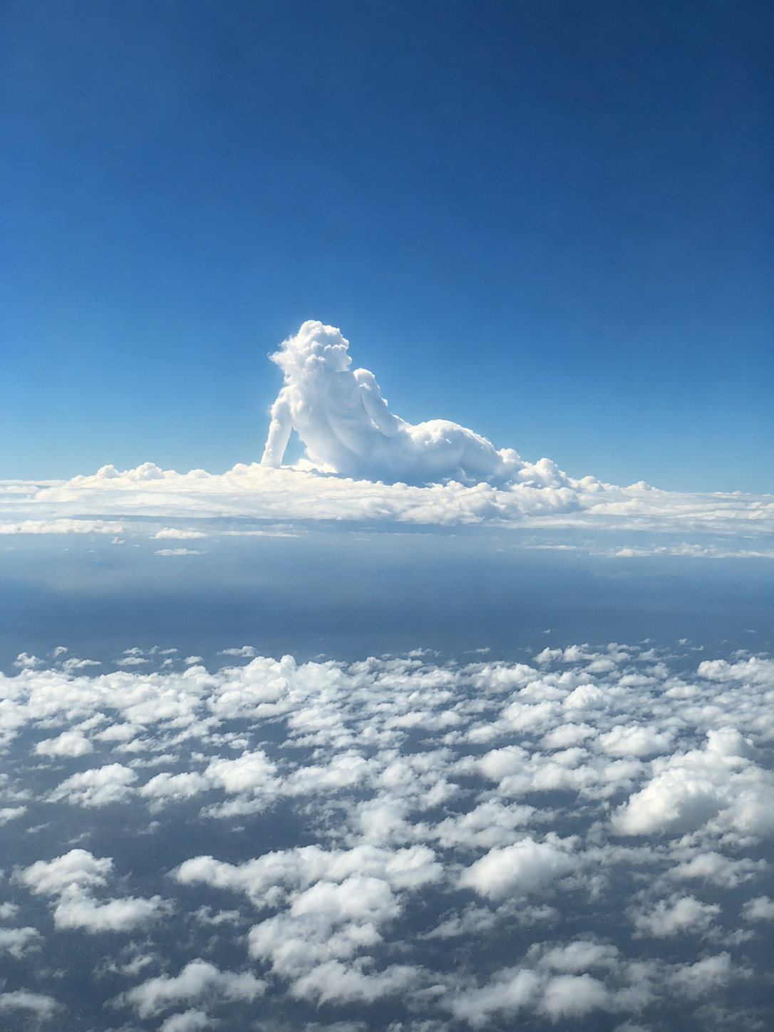1A9B37DC-C921-477F-BA95-534CF564916B.PNG