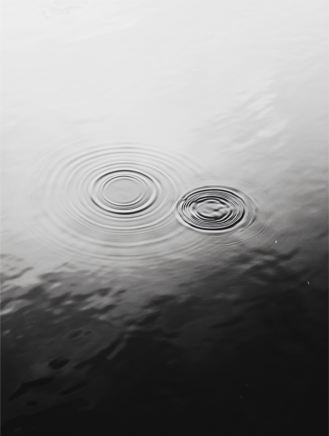 Close-up of two water ripples on a calm surface, with one ripple smaller and to the right of the larger one.