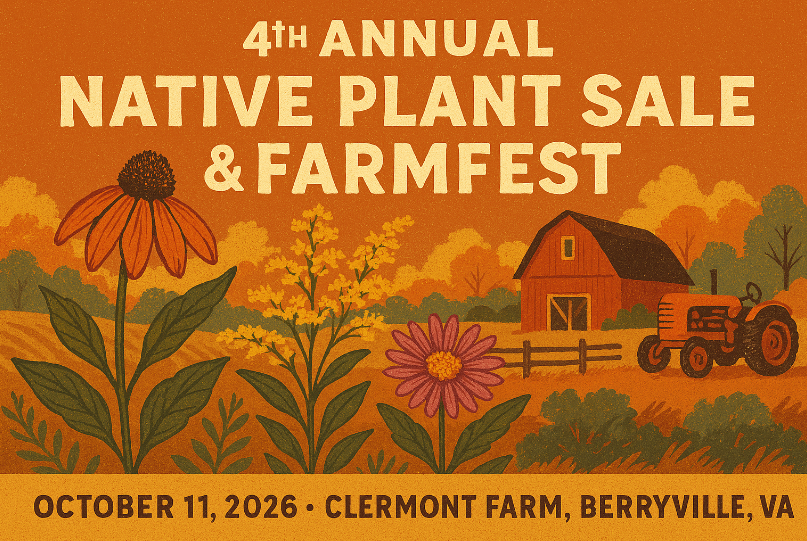 Dip Into Art, LLC at The Clermont FarmFest — Featuring a Live Painting of the Autumn Blue Pumpkin + Art Kits!