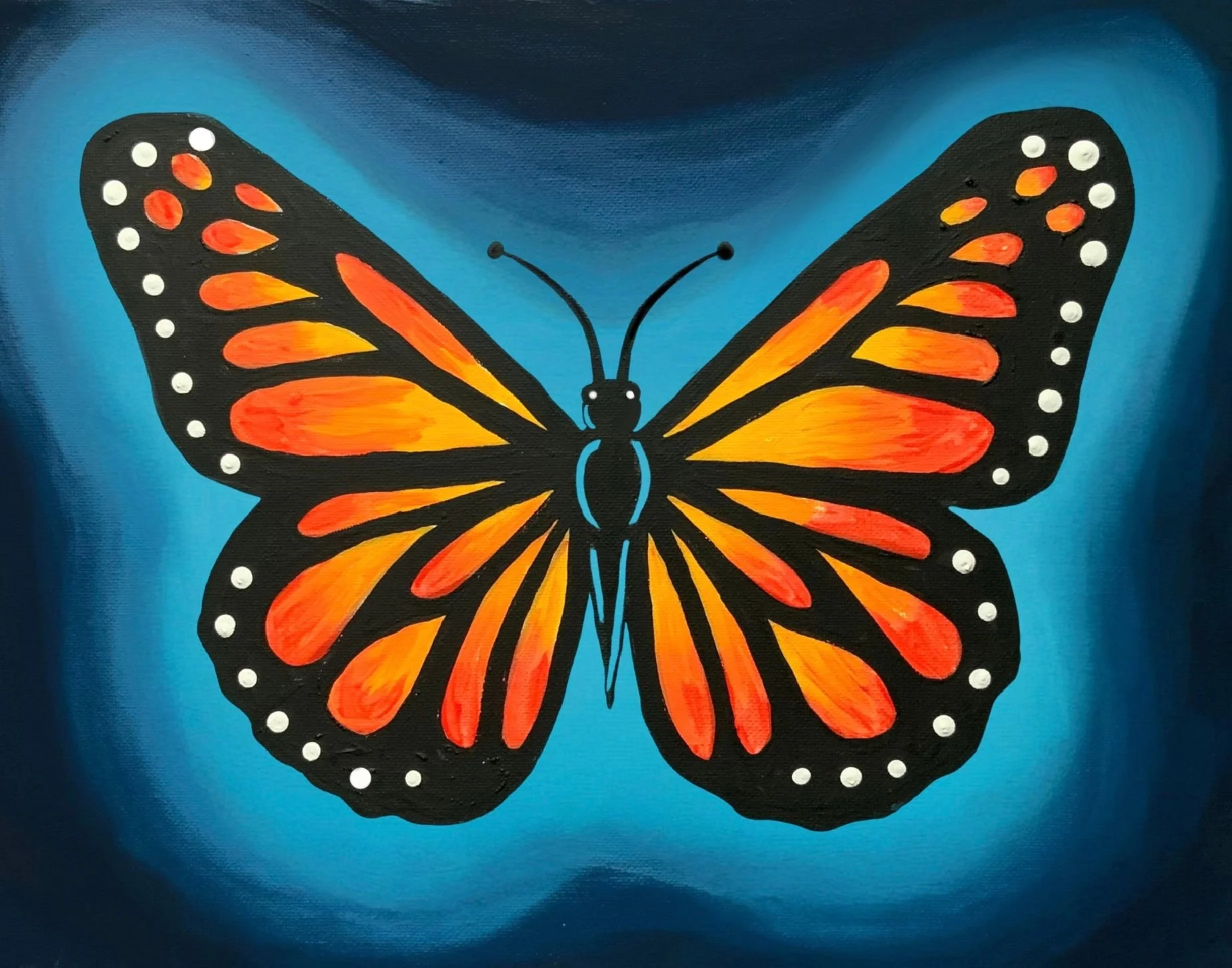 Midnight Monarch Image.jpg