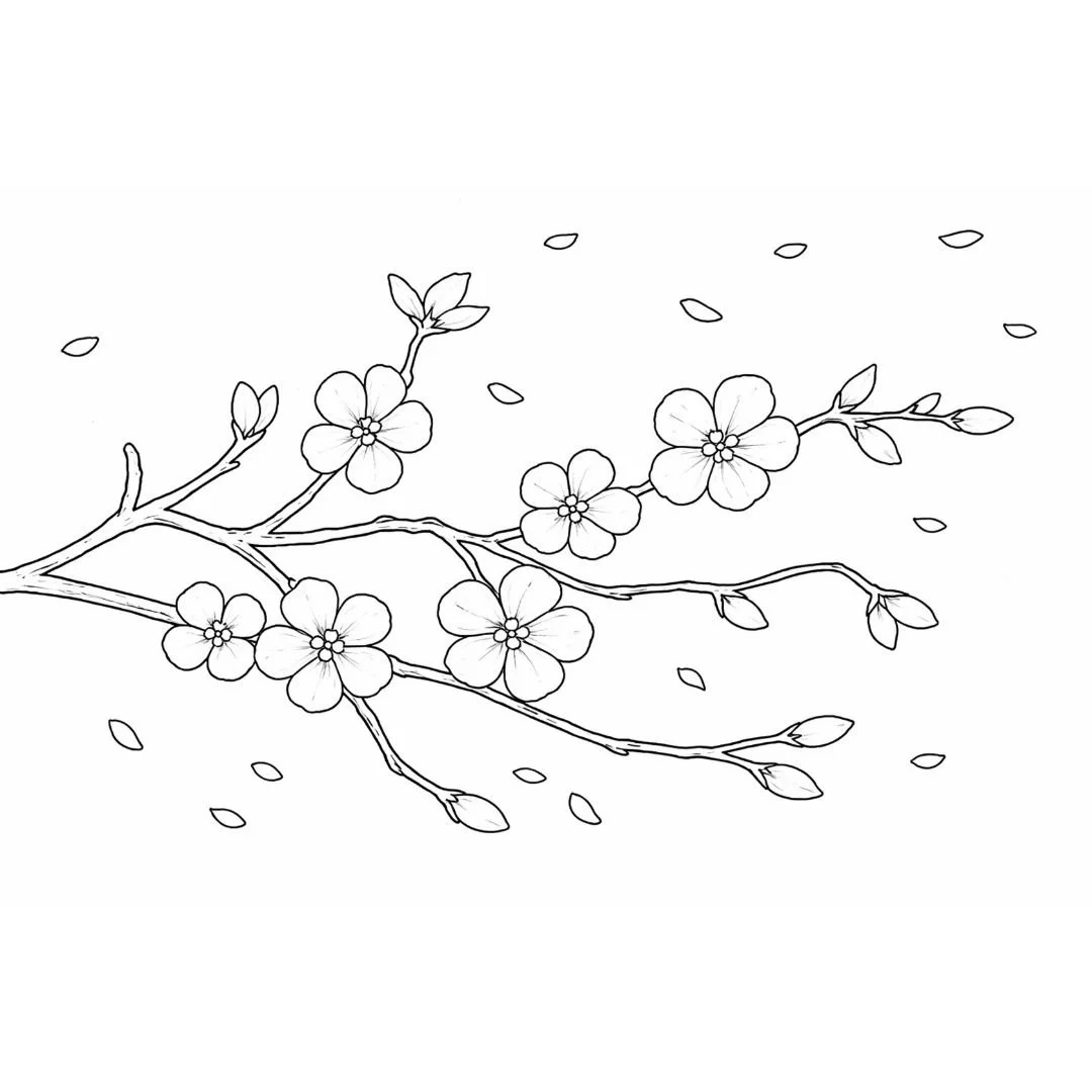 Cherry Blossoms Tracer_Acrylic.jpg