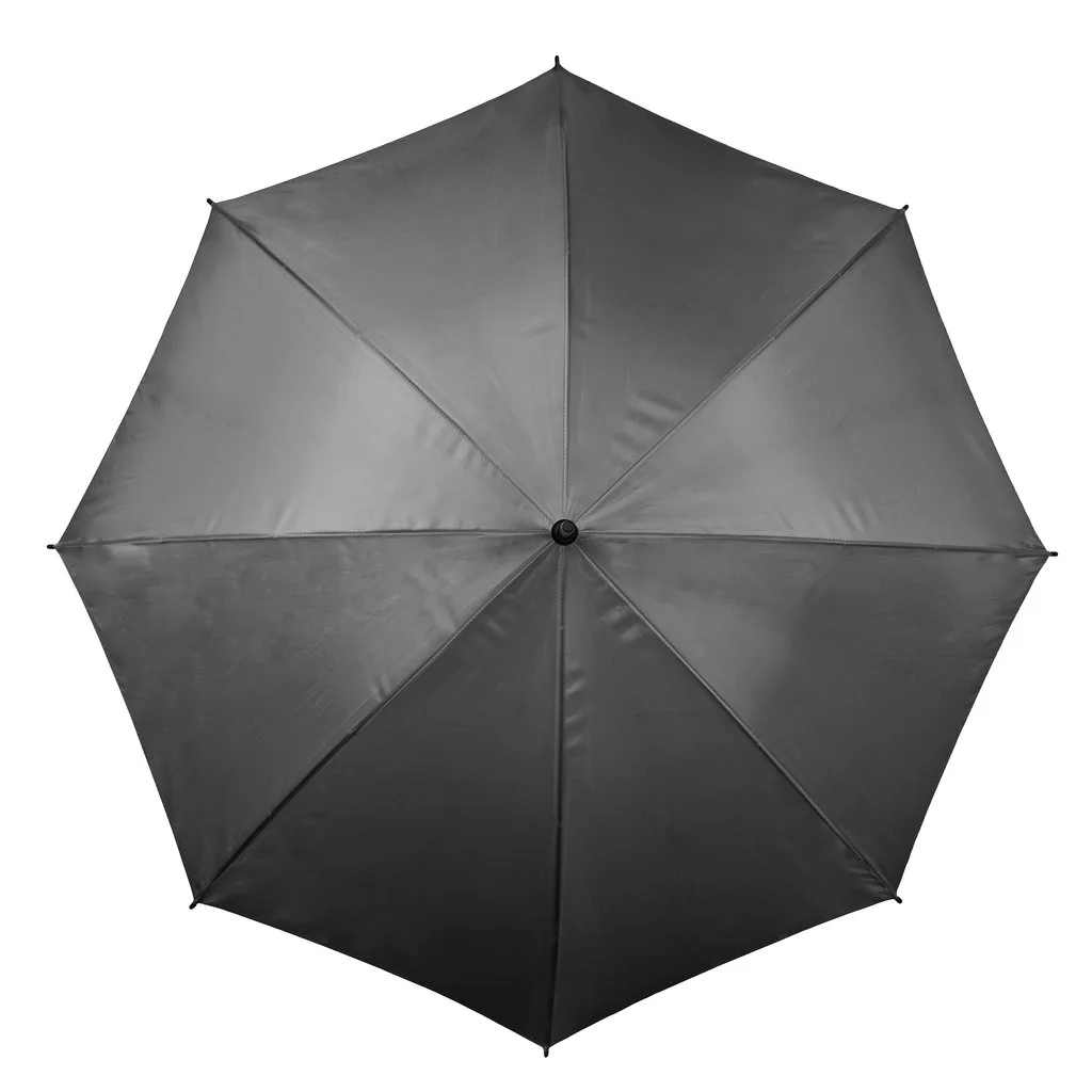 Spring Black Umbrella Blank image_iStock-867277360.jpg