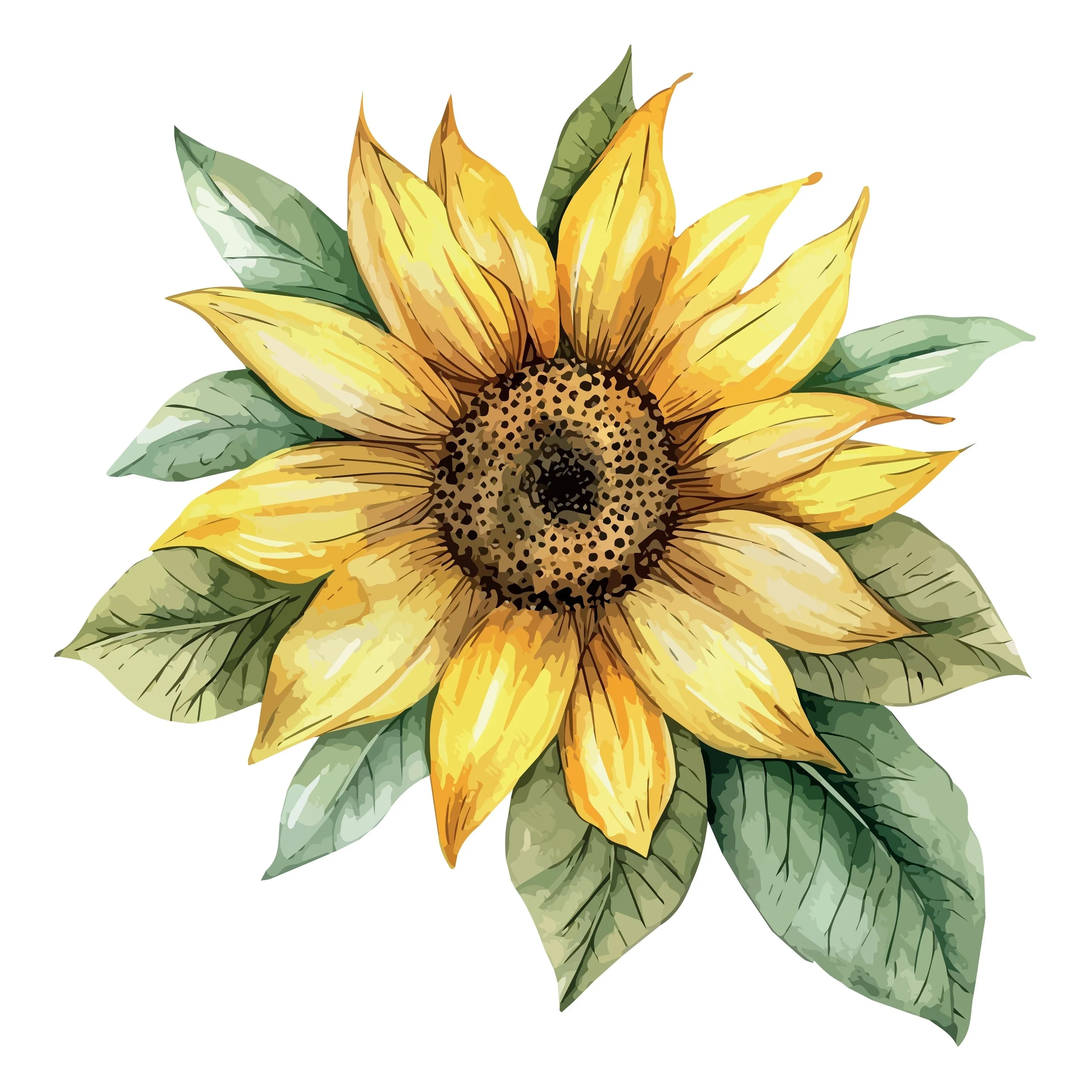 Watercolor Sunflower.jpg