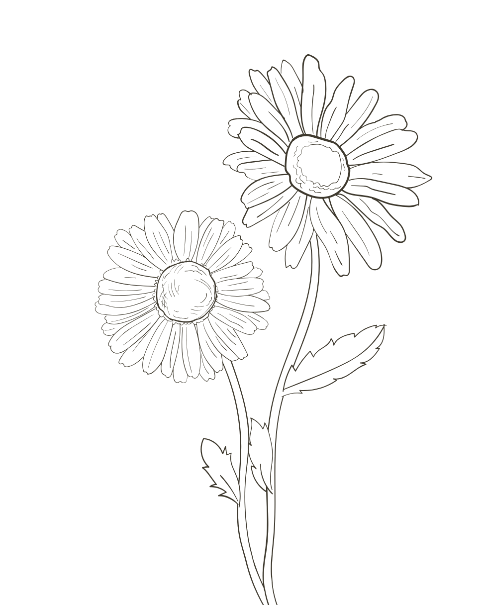 Bloem dietist Tienen