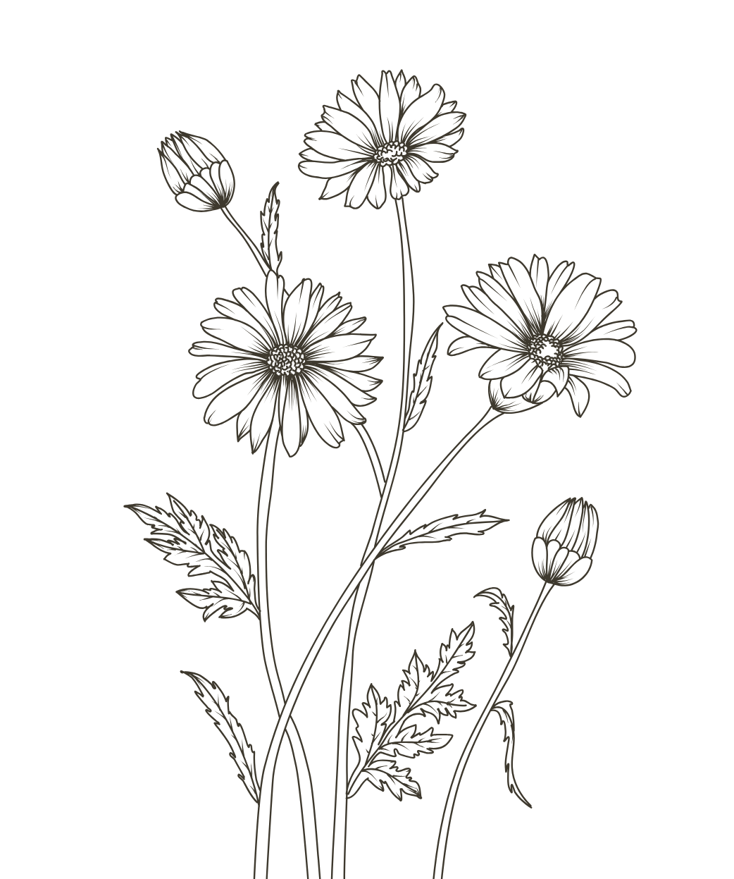 Bloemen dietist emo eten in Tienen