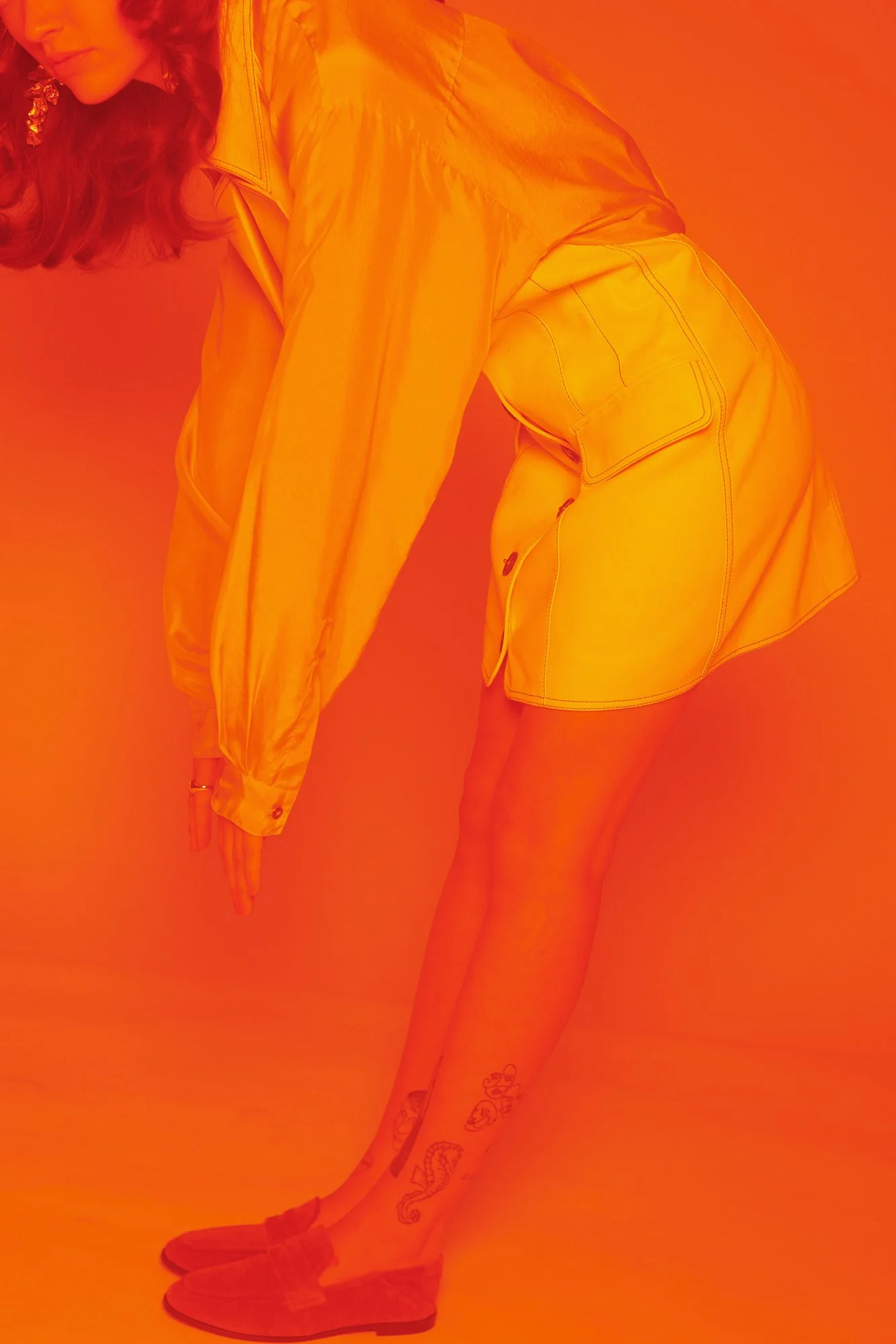 5 webDSC_6545 1 copie.jpg