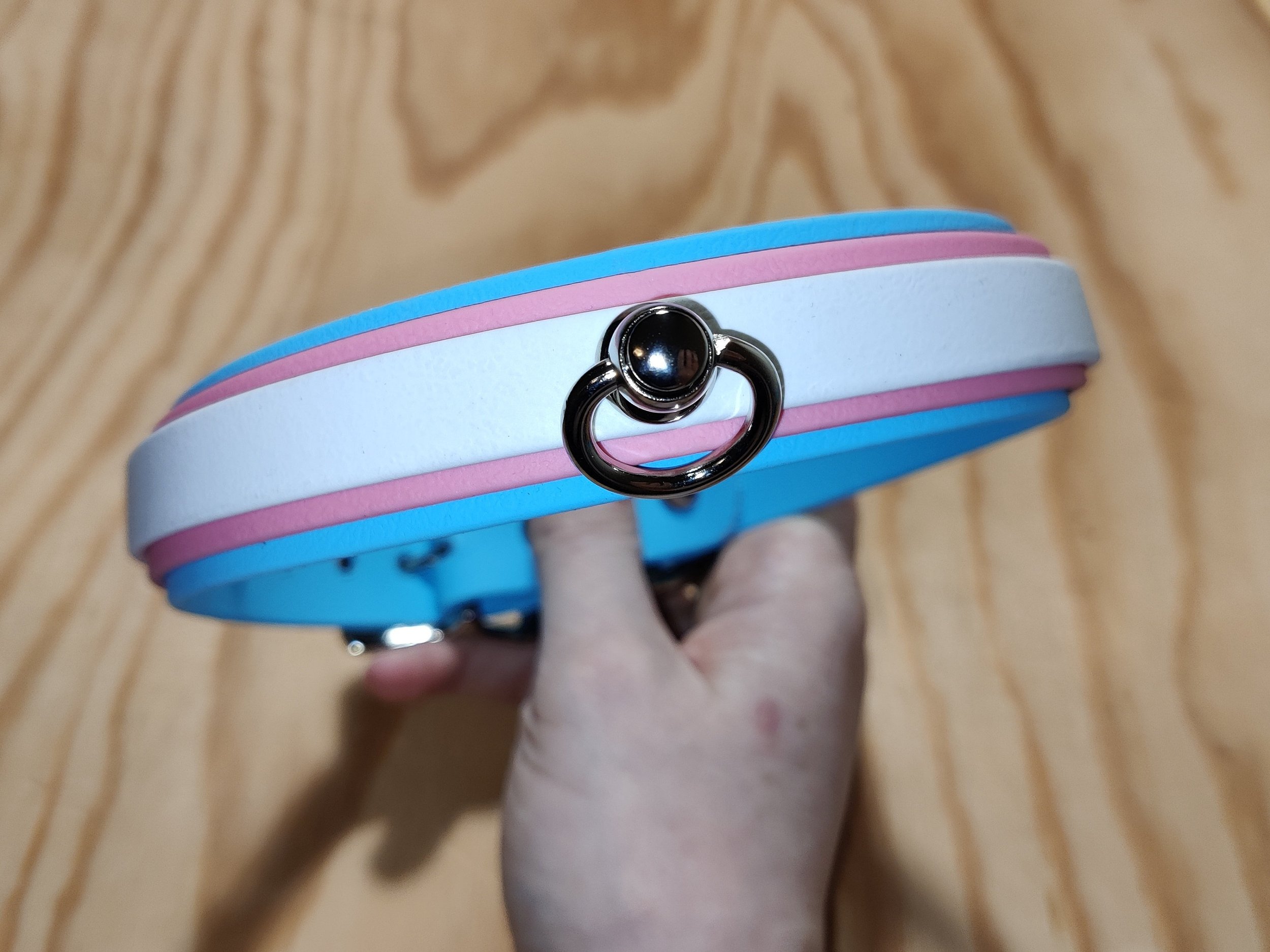 Pride Flag Collar / Necklace: Vegan Friendly