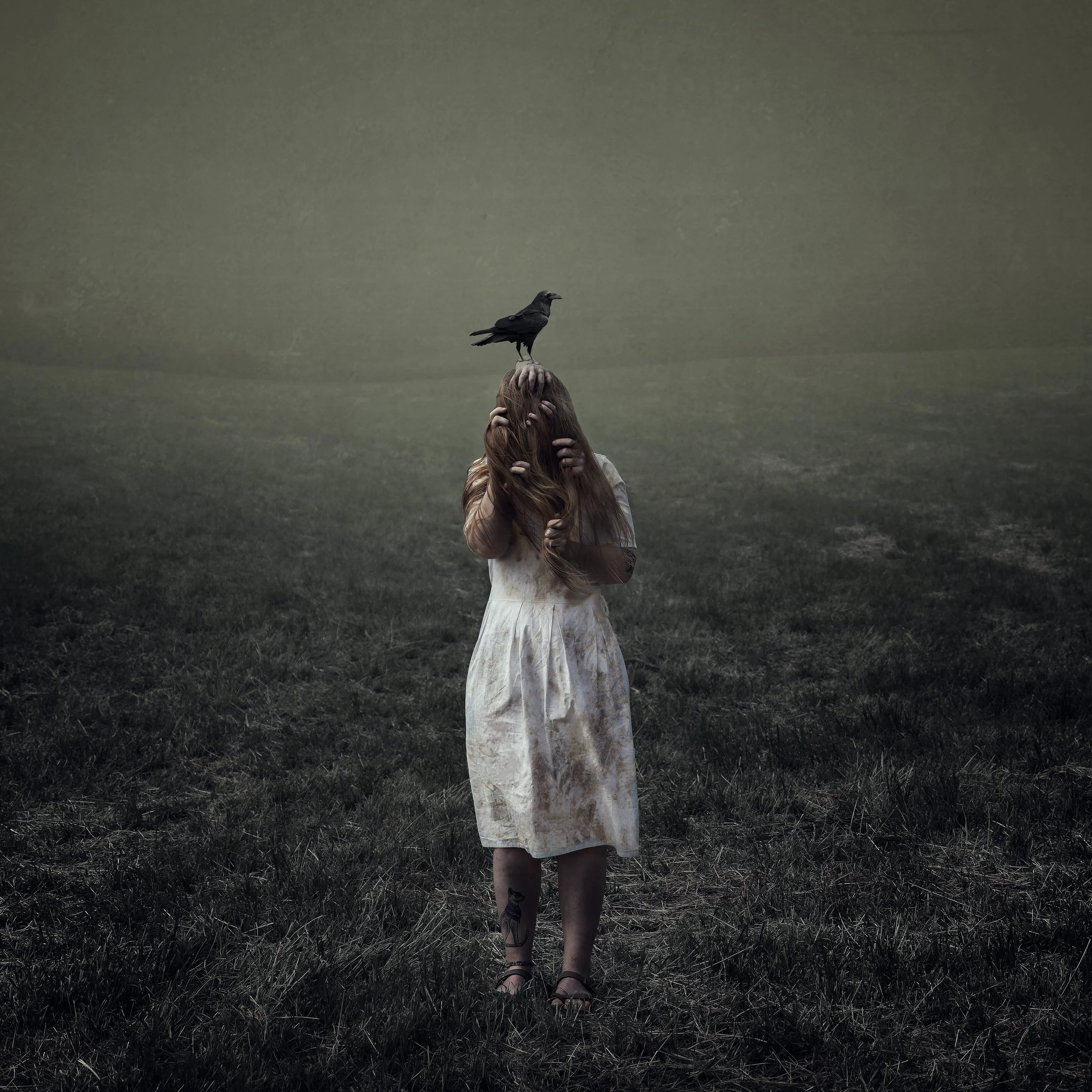 Junge Frau in einem weißen Kleid mit braunem Haar, die ihre Ohren bedeckt, während ein Rabe auf ihrem Kopf sitzt, in einer düsteren, offenen Landschaft.