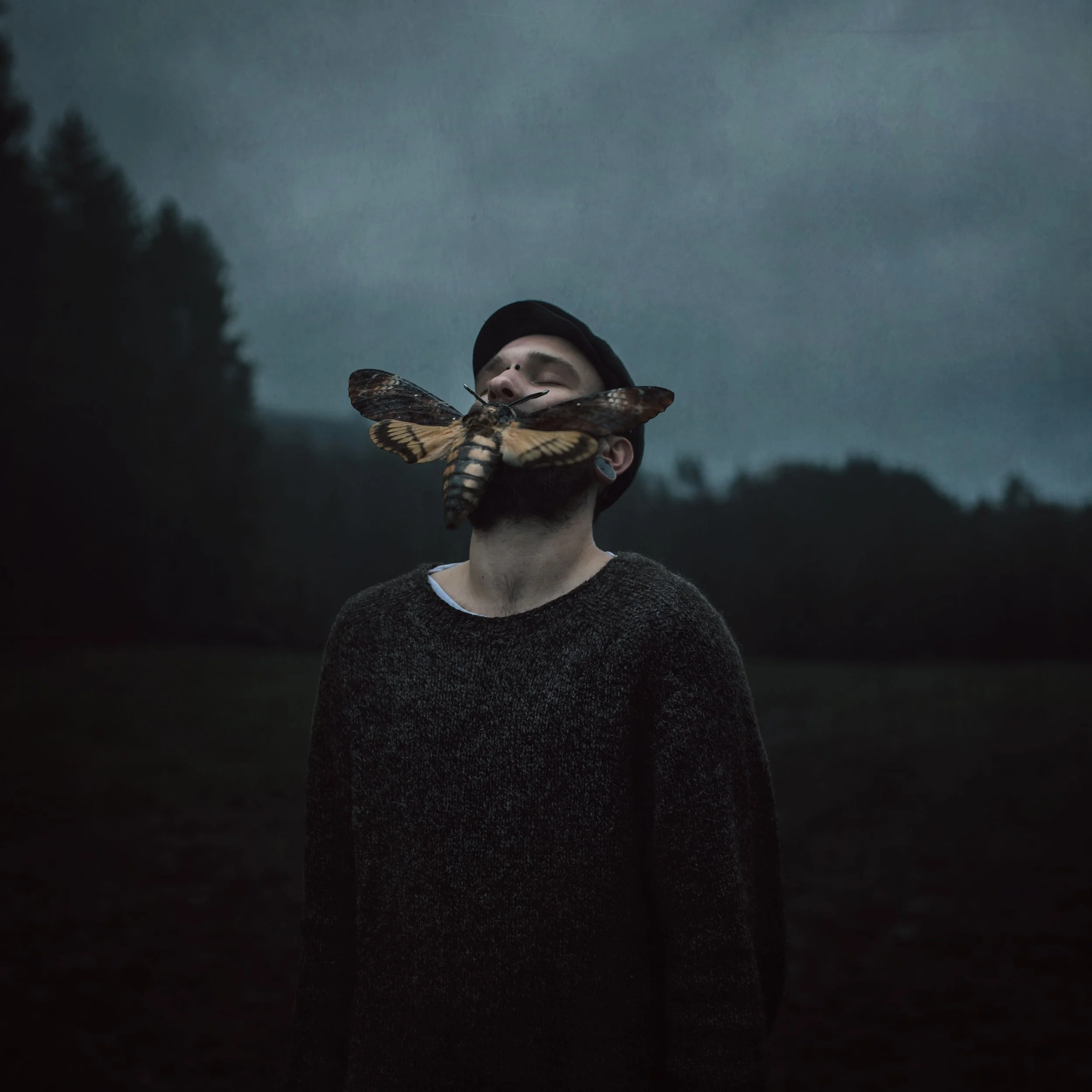 Junge mit geschlossenen Augen, getragen von einer großen Eule, vor einem dunklen Himmel und einem Wald im Hintergrund.