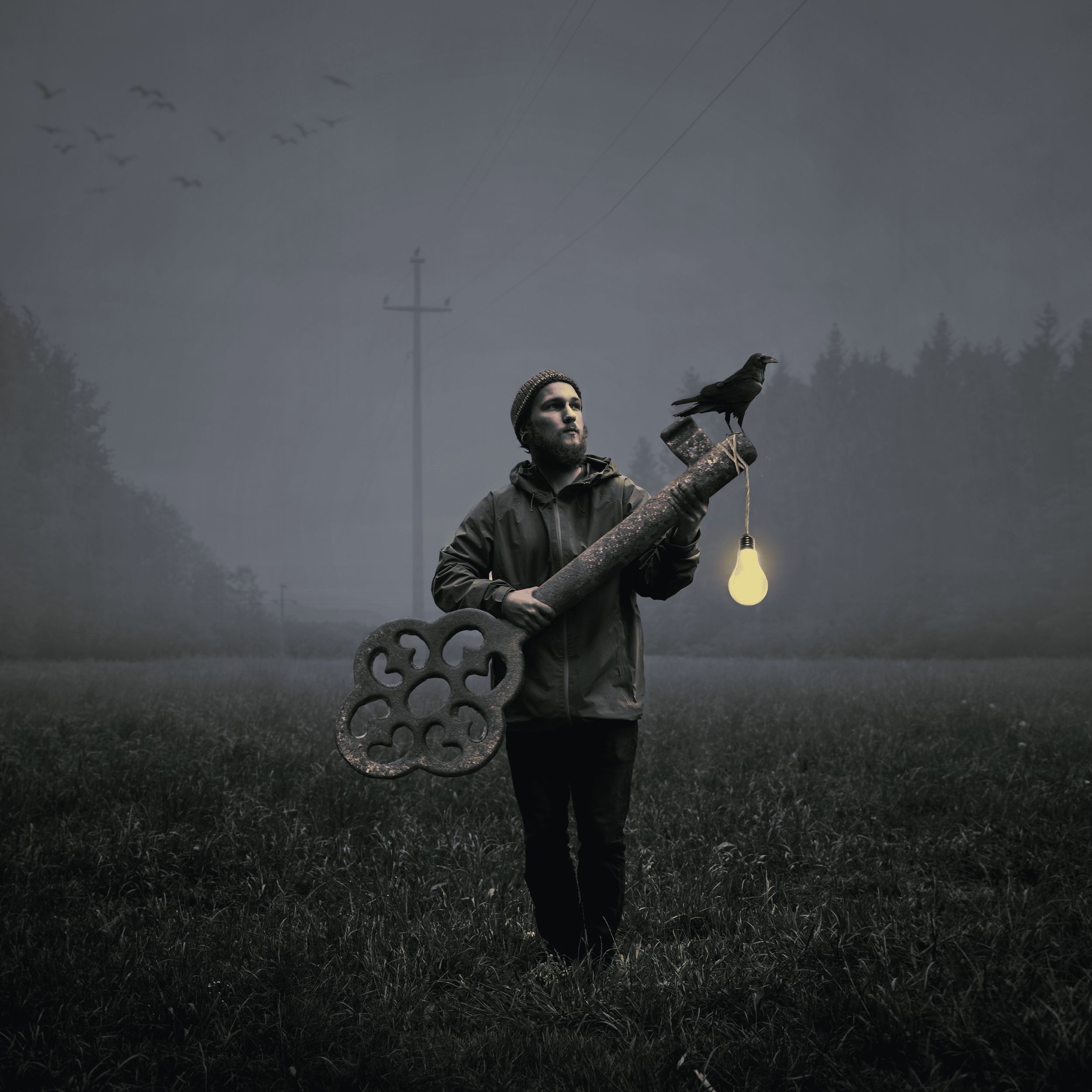 Ein Mann hält einen großen Schlüssel mit einer Amsel auf der oberen Seite. An einer Seite des Schlüssels hängt eine glühbirne. Im Hintergrund sind Bäume, ein Strommast und fliegende Vögel bei Nacht oder Dämmerung.