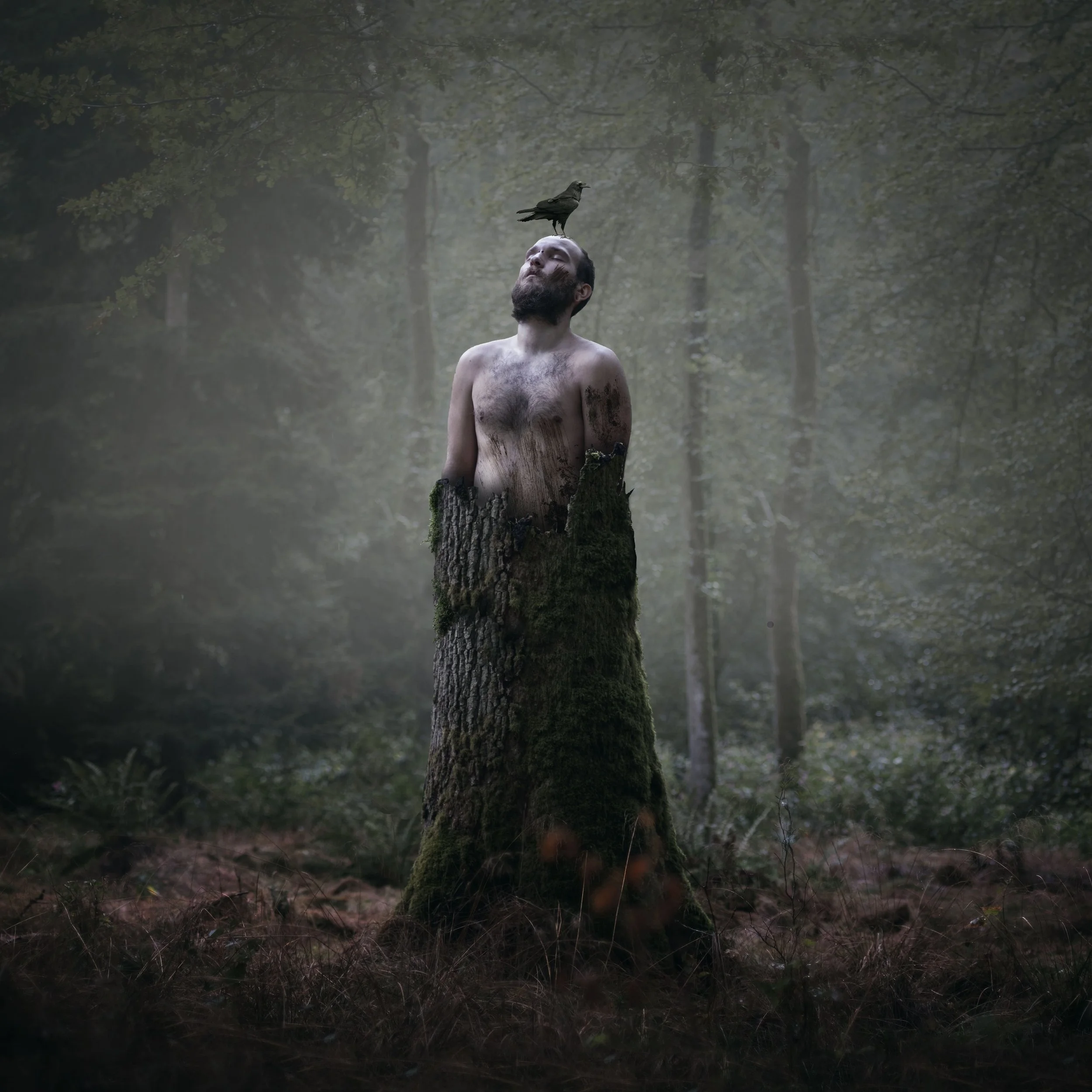 Ein nackter Mann steht in einem moosbedeckten Baumstumpf in einem düsteren, bewaldeten Szenario, mit einem Vogel auf seinem Kopf.