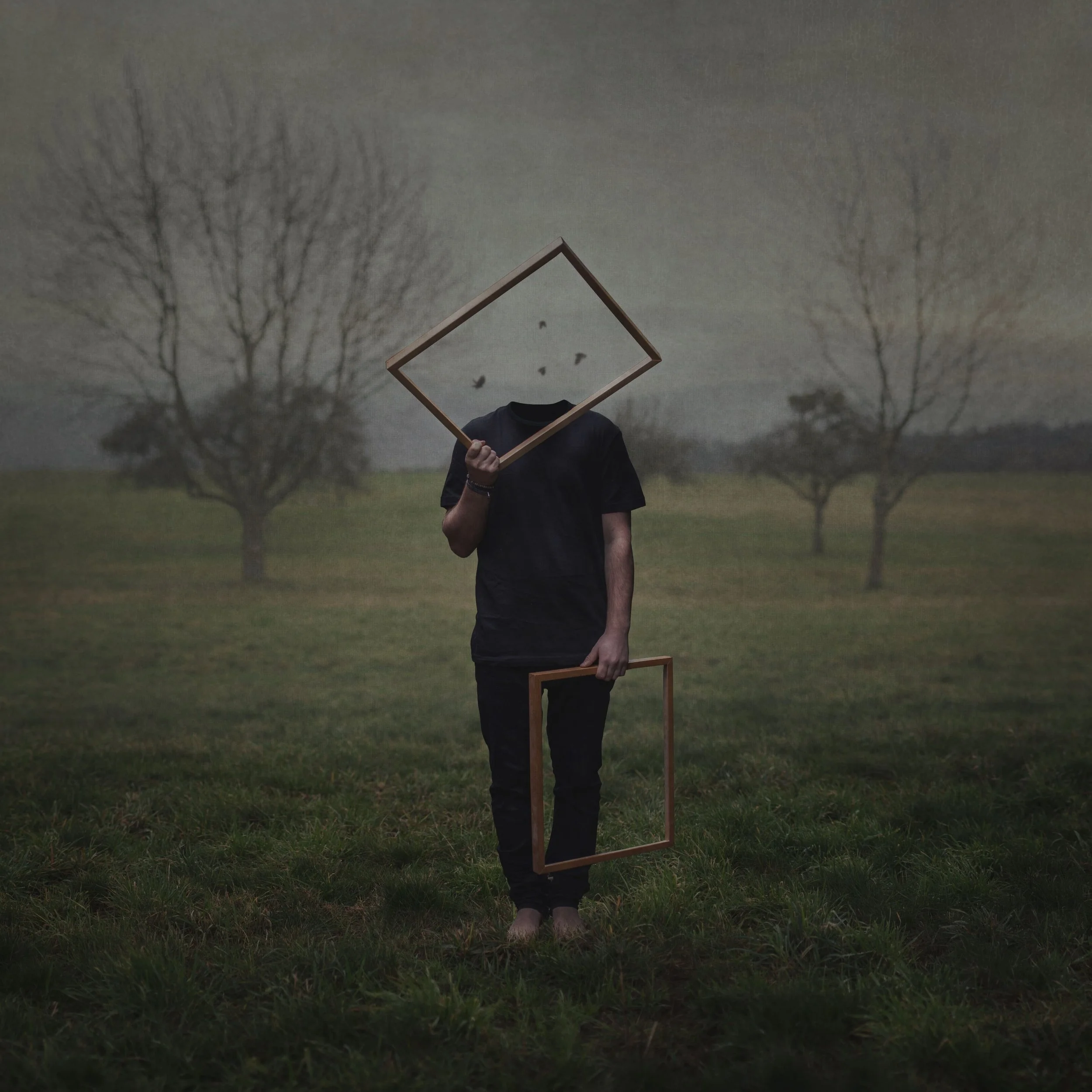 Person steht auf einer Wiese, hält in einer Hand ein leeres Bilderrahmen, vor dem Gesicht sind Vögel im Himmel sichtbar, im Hintergrund sind Bäume ohne Blätter.
