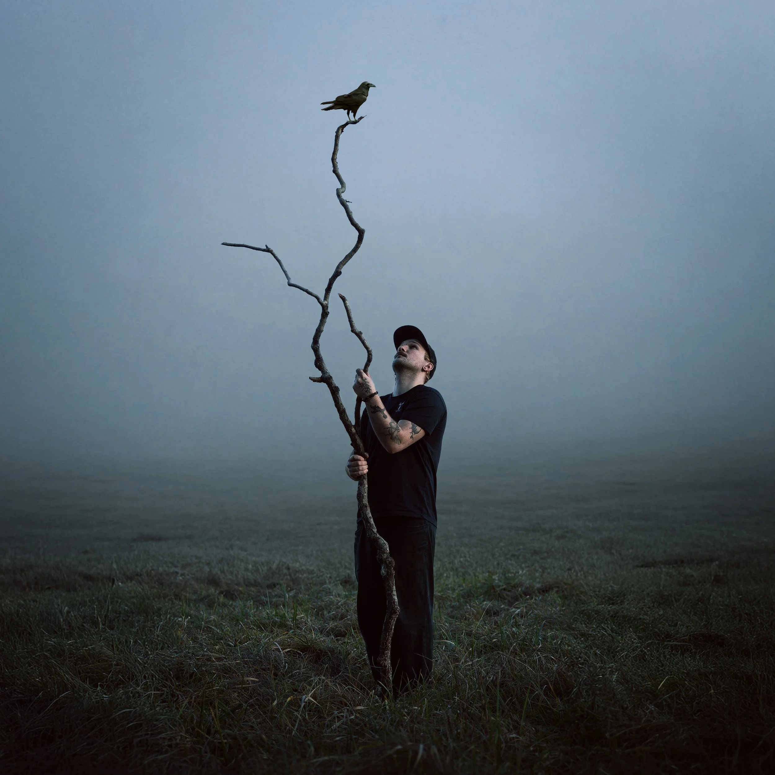 Ein junger Mann steht auf einer Wiese im Dämmerlicht, hält einen knorrigen Ast, an dem ein Vogel sitzt, und blickt nach oben zum Vogel.