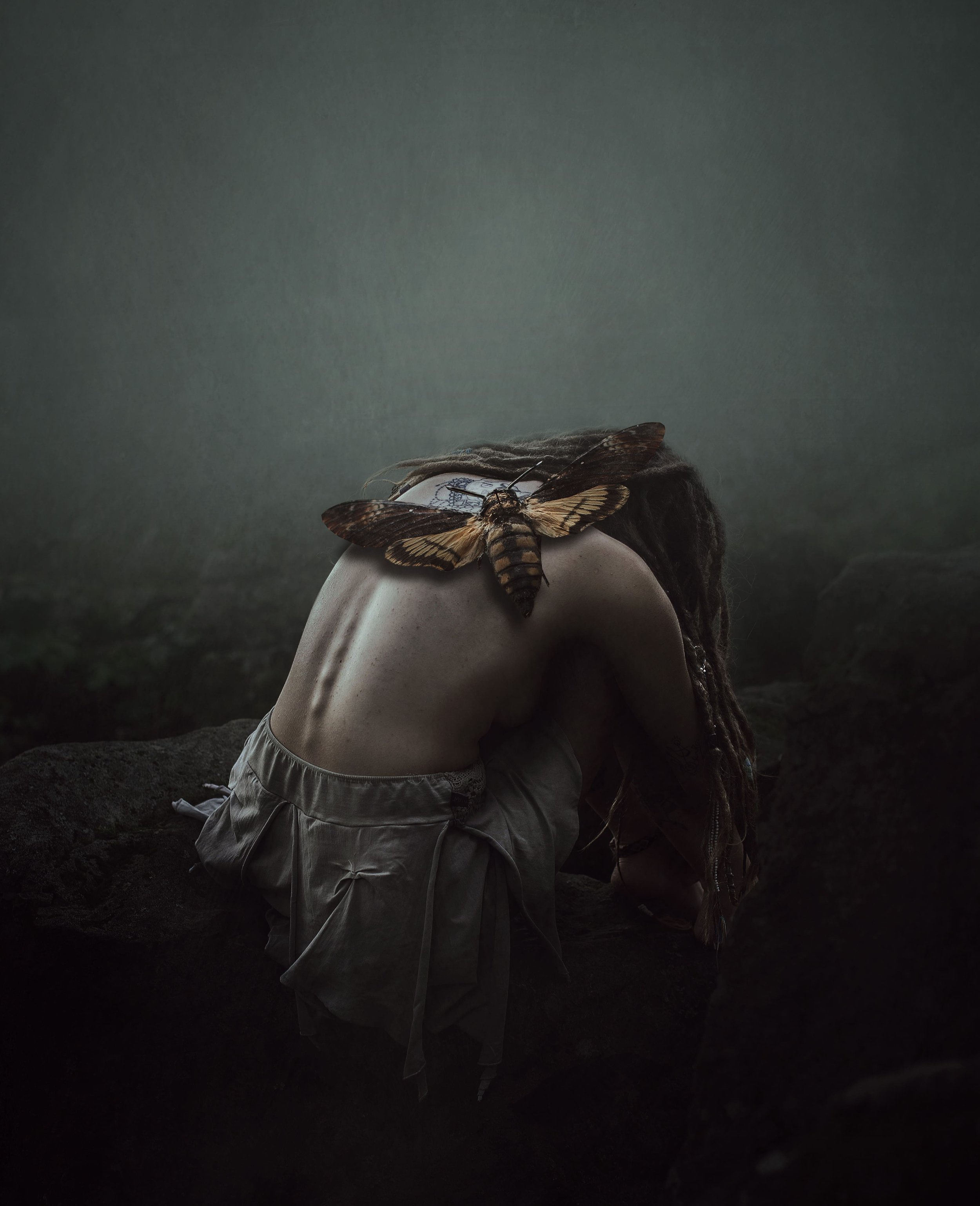 Ein Mensch mit Dreadlocks sitzt auf einem Felsen, während eine große Eule auf seinem Rücken sitzt. Die Szene ist dunkel und mystisch, in einer nebligen Umgebung.