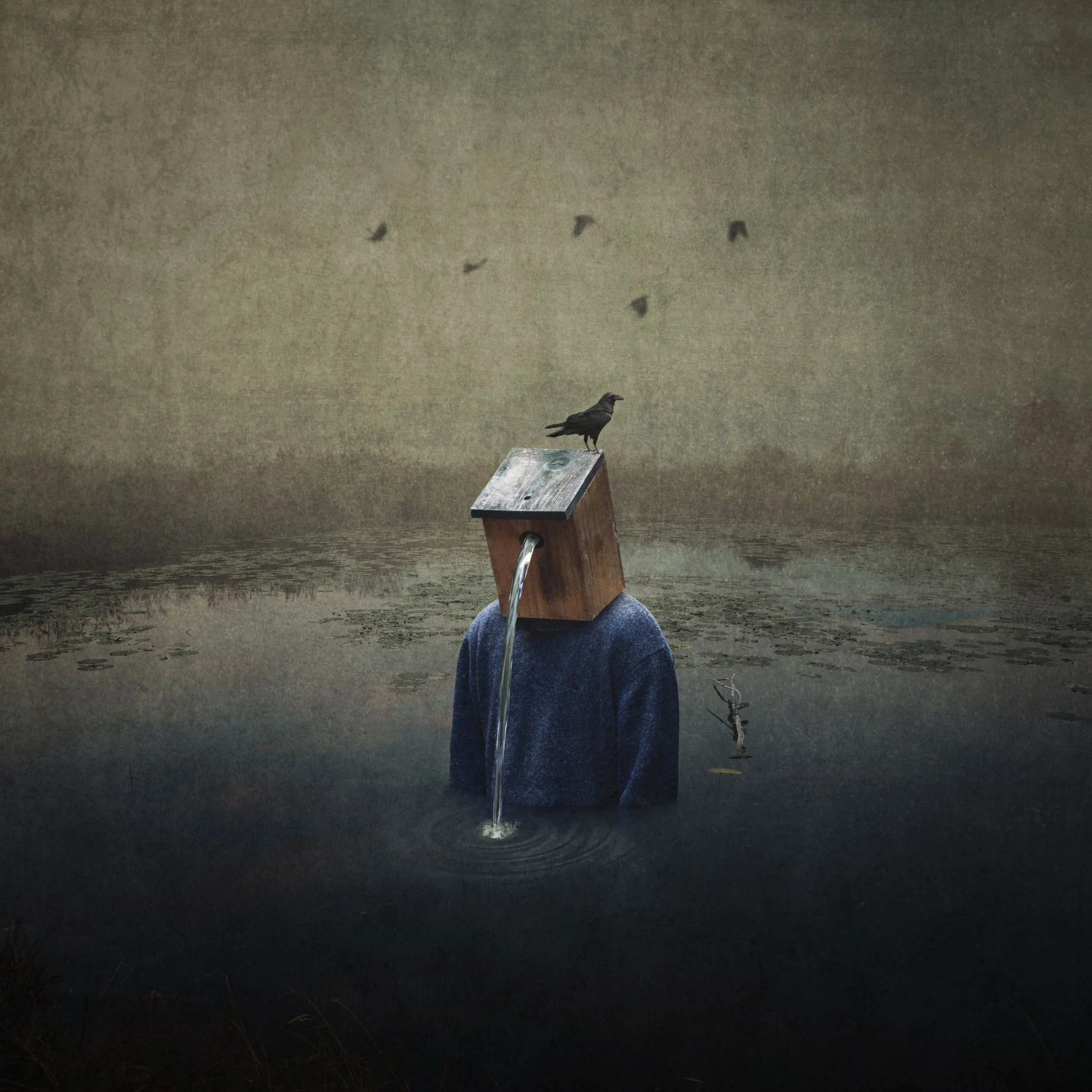 Ein surrealistisches Bild mit einer Figur, deren Kopf durch eine Vogelnest-ähnliche Struktur ersetzt ist. Wasser läuft aus einem Rohr auf der Brust, und ein schwarzer Rabe sitzt auf dem Nest. Im Hintergrund sind fliegende Vögel und eine bewölkte, düs