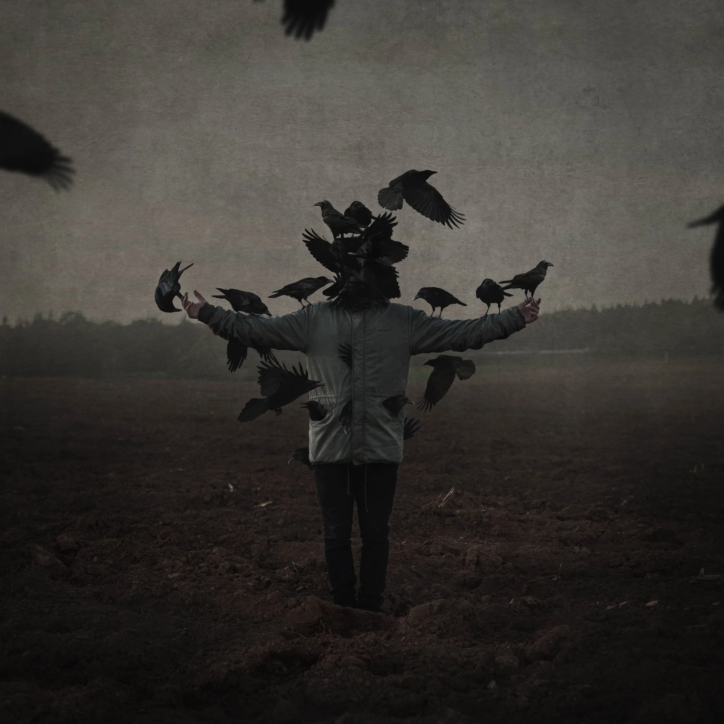 Eine Person mit ausgebreiteten Armen steht in einer dunklen, leeren Landschaft, umgeben von fliegenden schwarzen Vögeln.