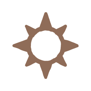 A graphic illustration of a gear or cog with a sunburst pattern surrounding it.