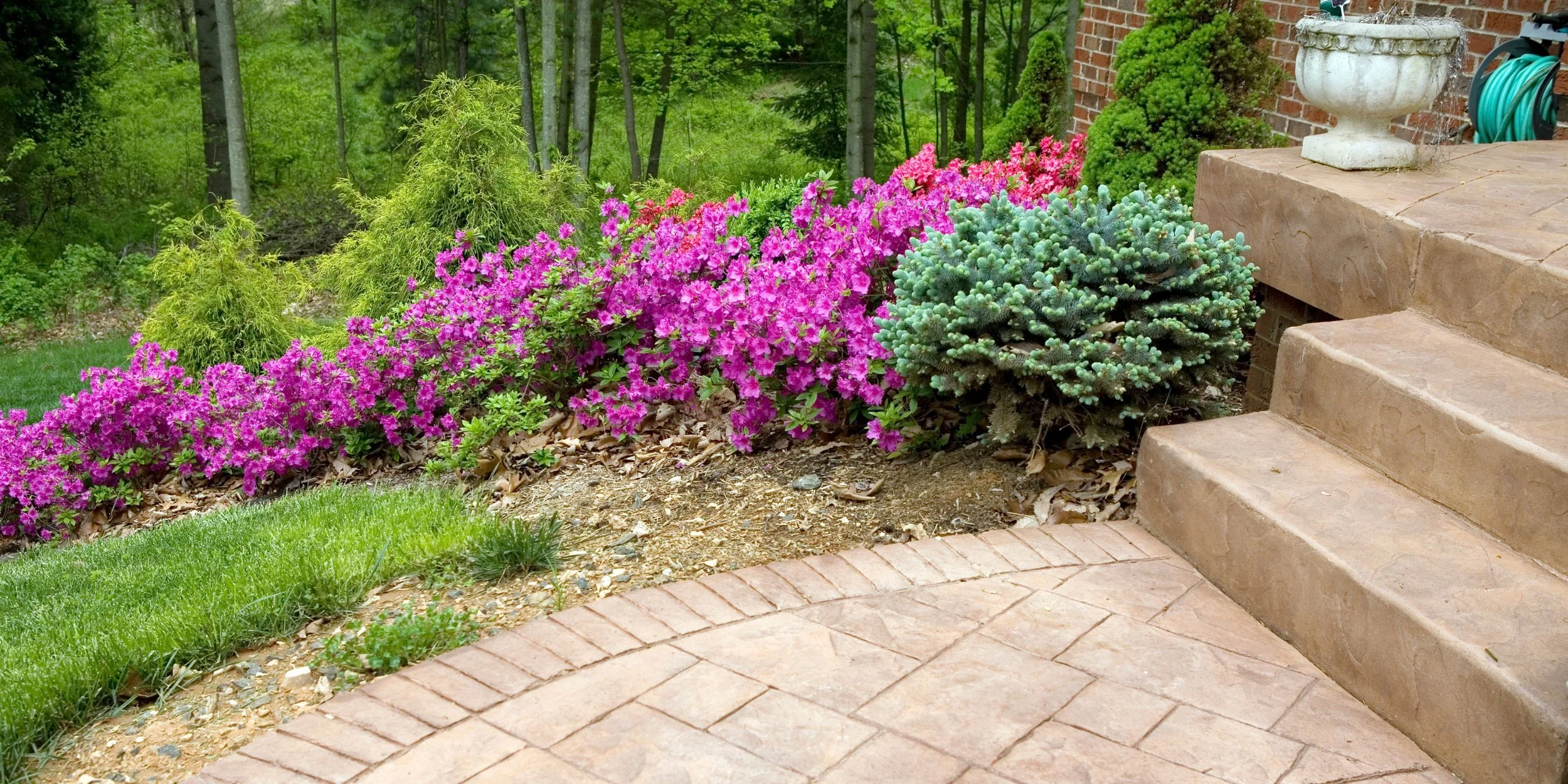Colorful flower garden beside stone stairs and patio, with trees and greenery in the background.