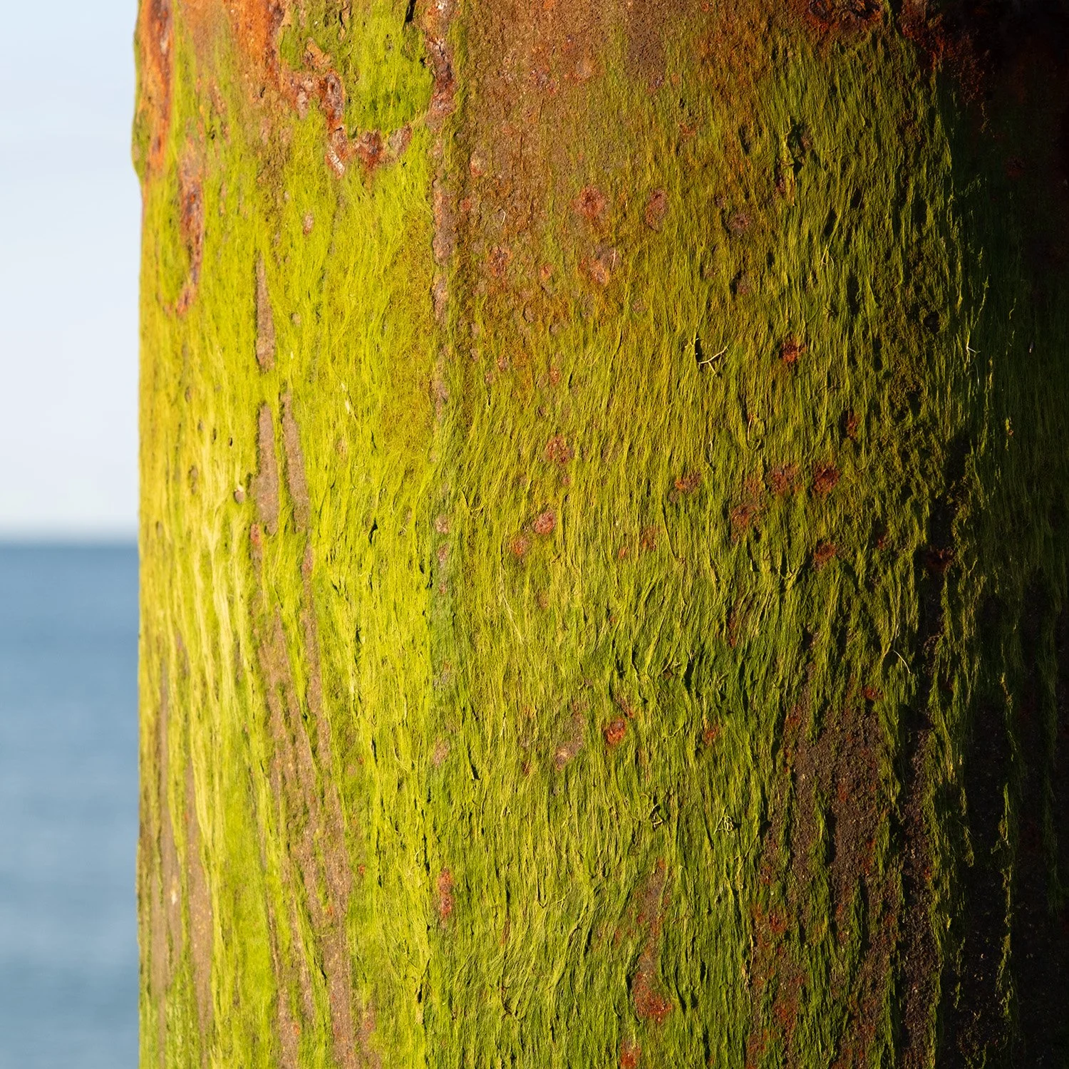 West Pier Pillar 