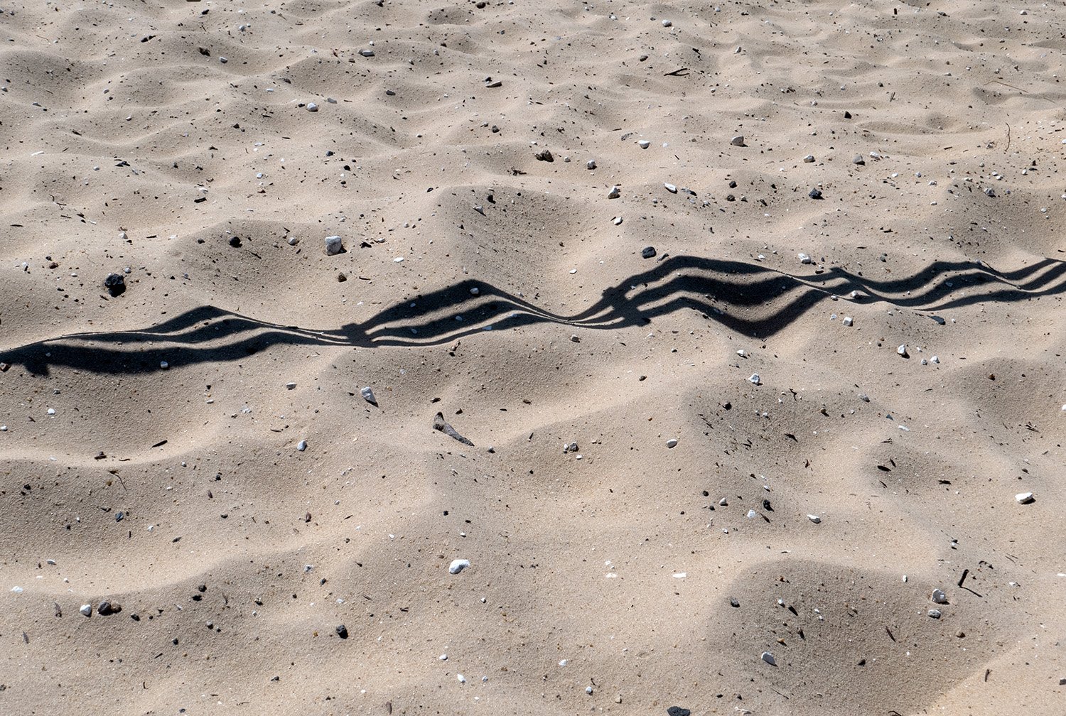 Sand Shadows