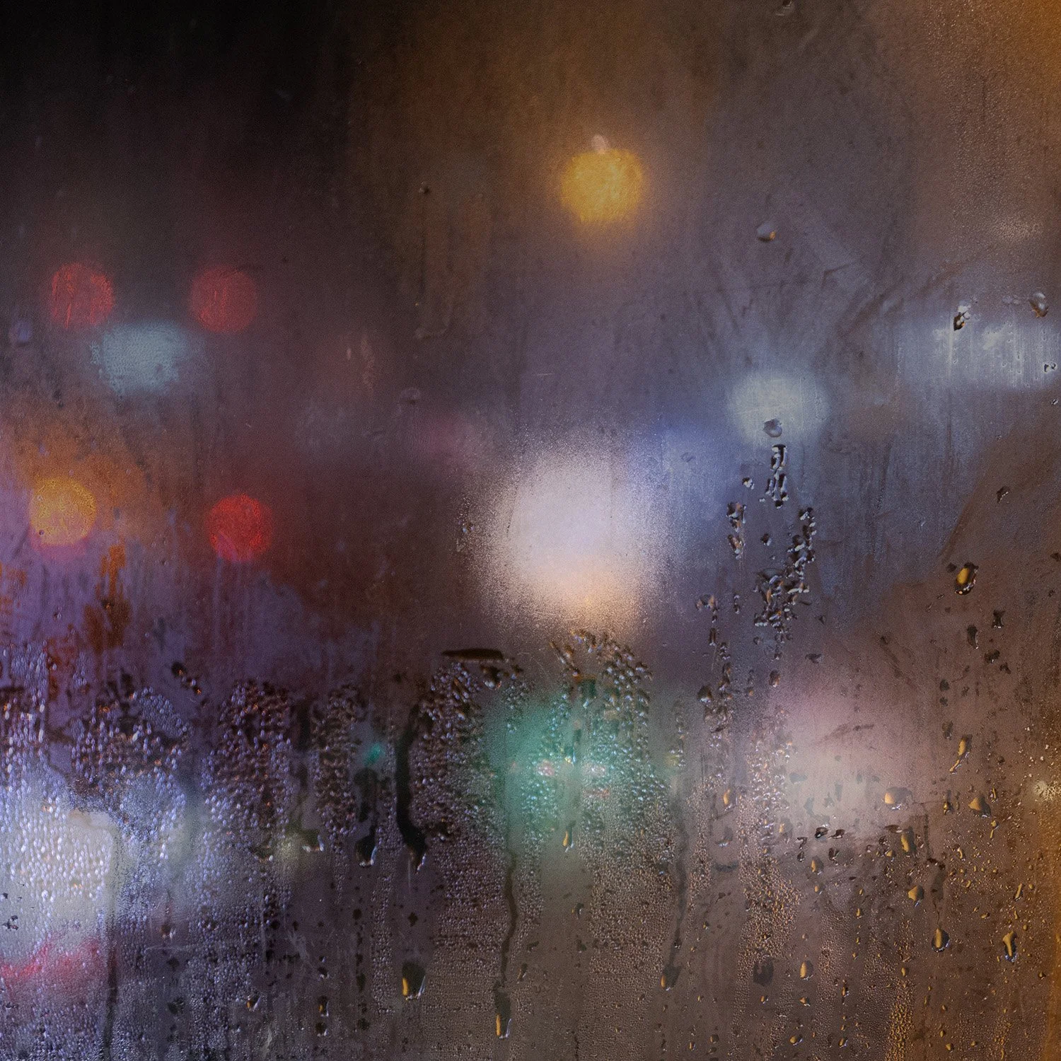 Night Bus Lights
