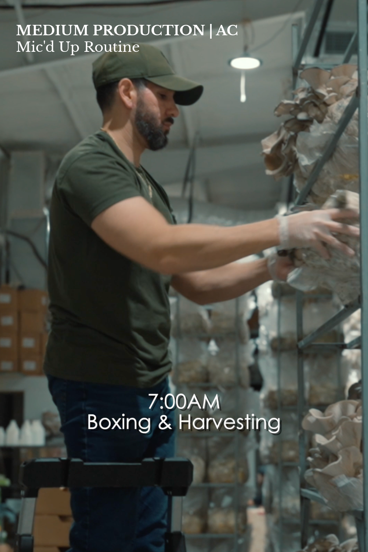 LS Covers - AC Website-7.png