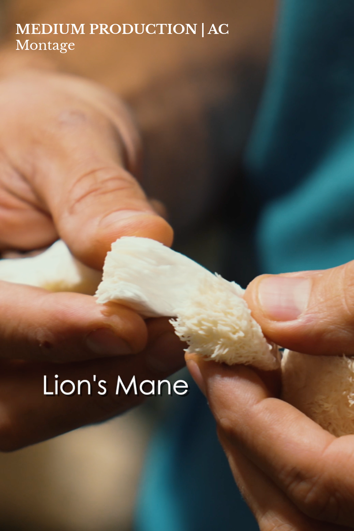 LS Covers - AC Website-6.png