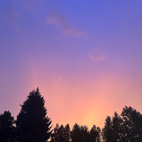 Sunset sky with pink and purple hues over silhouettes of trees.