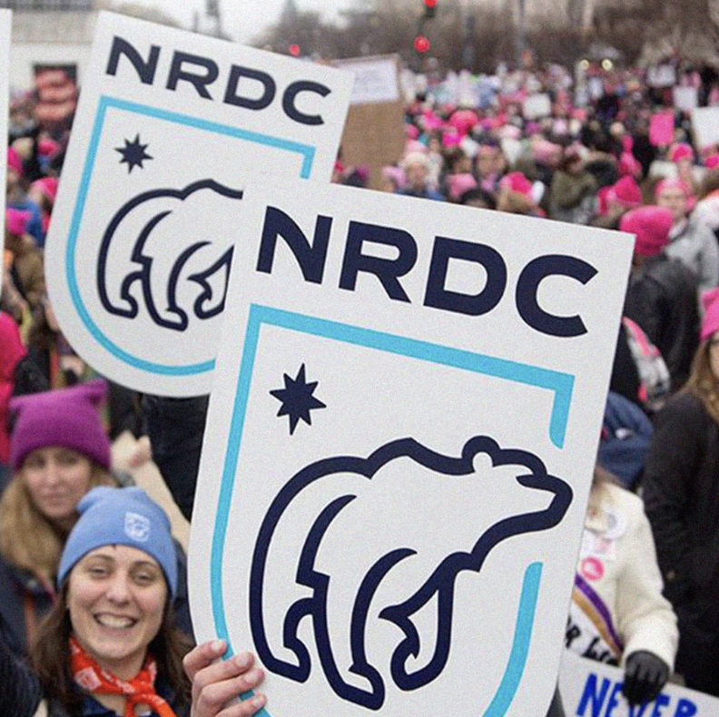 People at a rally holding signs with the NRDC logo, a bear silhouette, and a star, in a crowd wearing pink and purple hats.