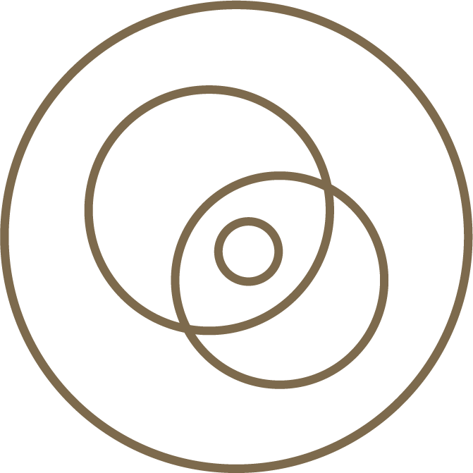 Minimalist icon featuring a geometric abstract design with concentric circles and curves in shades of brown and black.