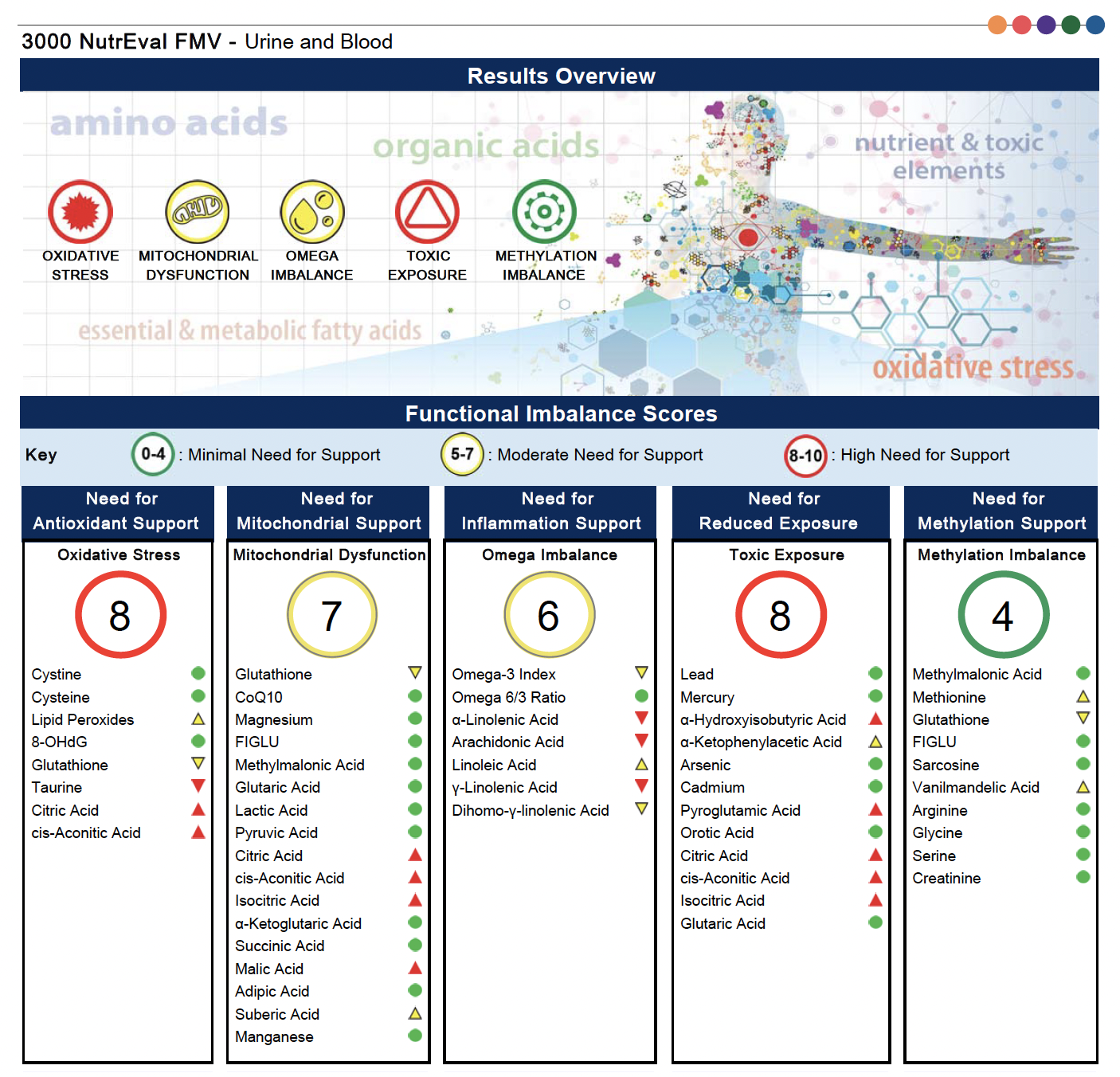 Cover page of the NutrEval FMV functional test page