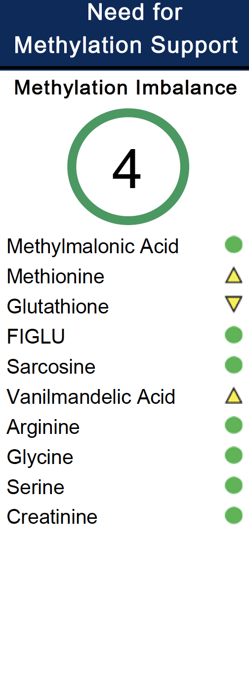 Sample of methylation imbalance report