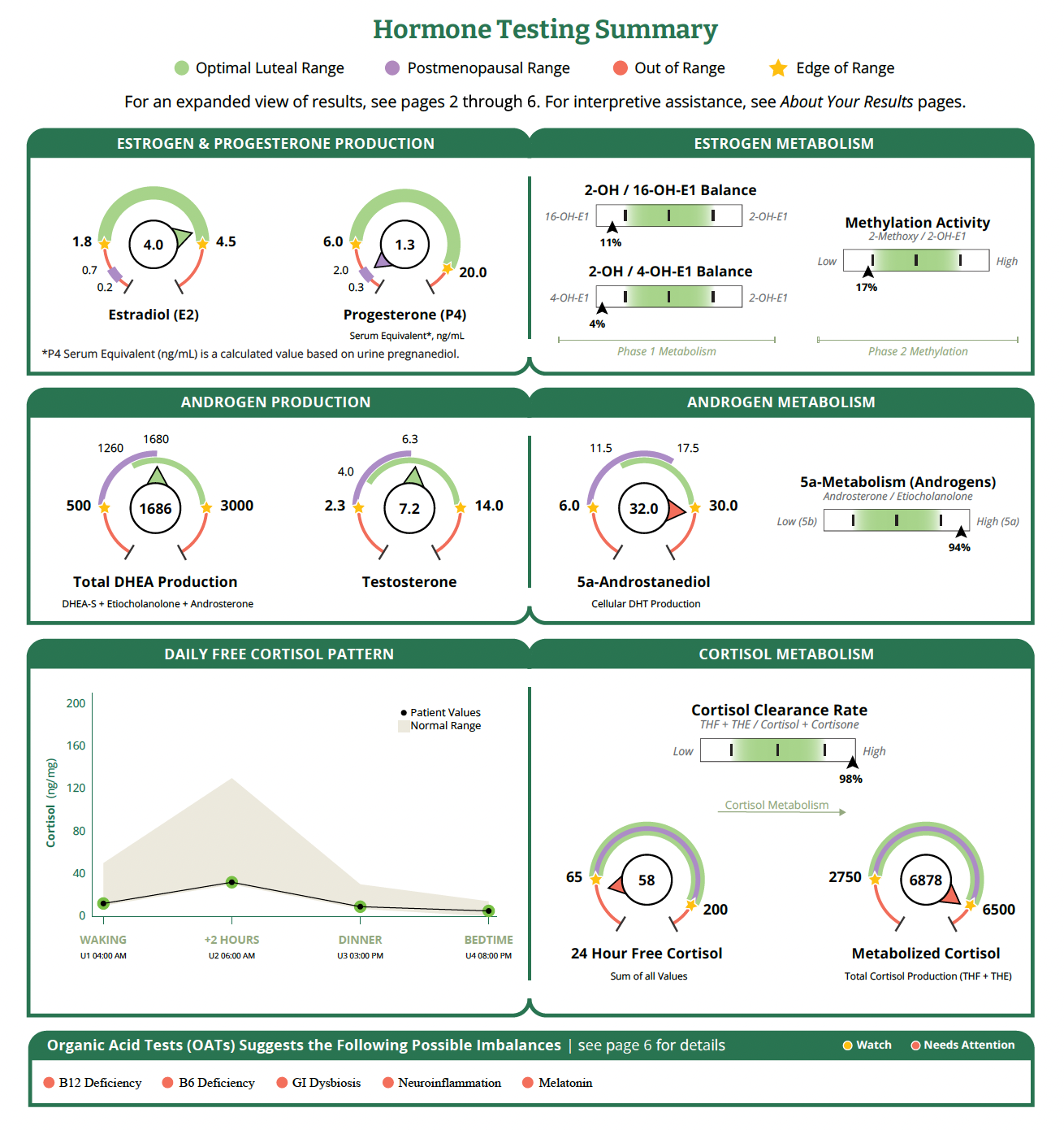 Sample DUTCH Hormone Testing Summary page