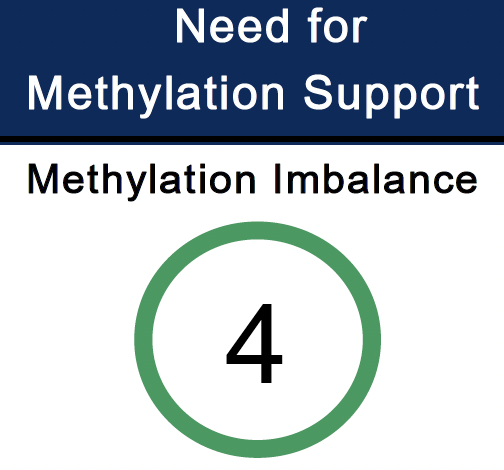 Green circle with number 4 - methylation imbalance level