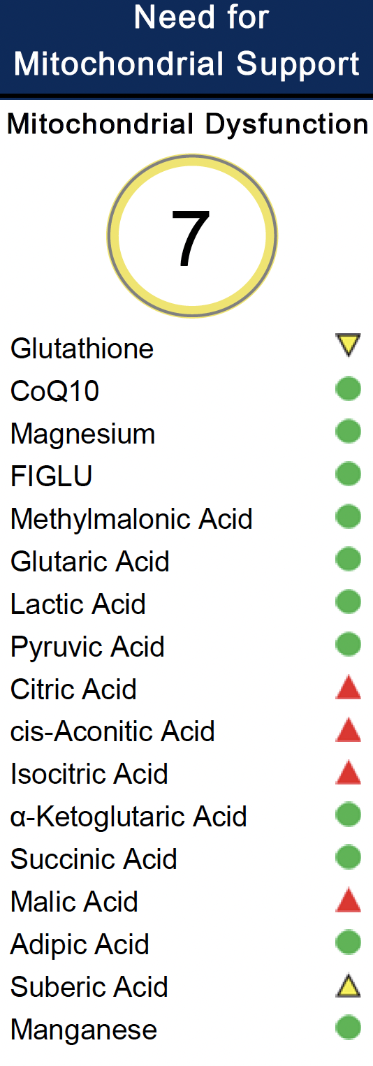 Sample of mitochondrial dysfunction report
