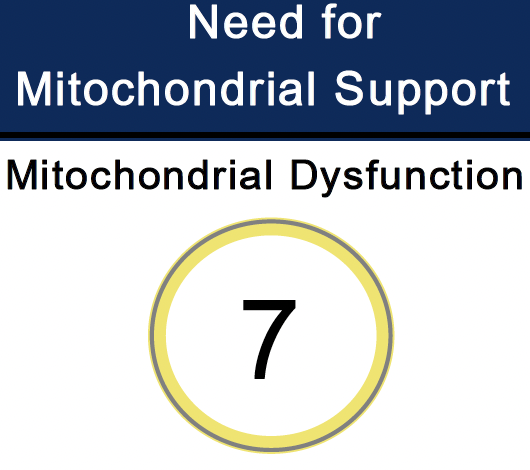 Yellow circle with number 7 - mitochondrial dysfunction level